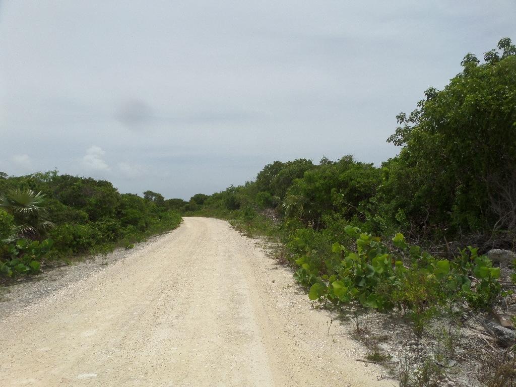 NORTH CROWN CAY