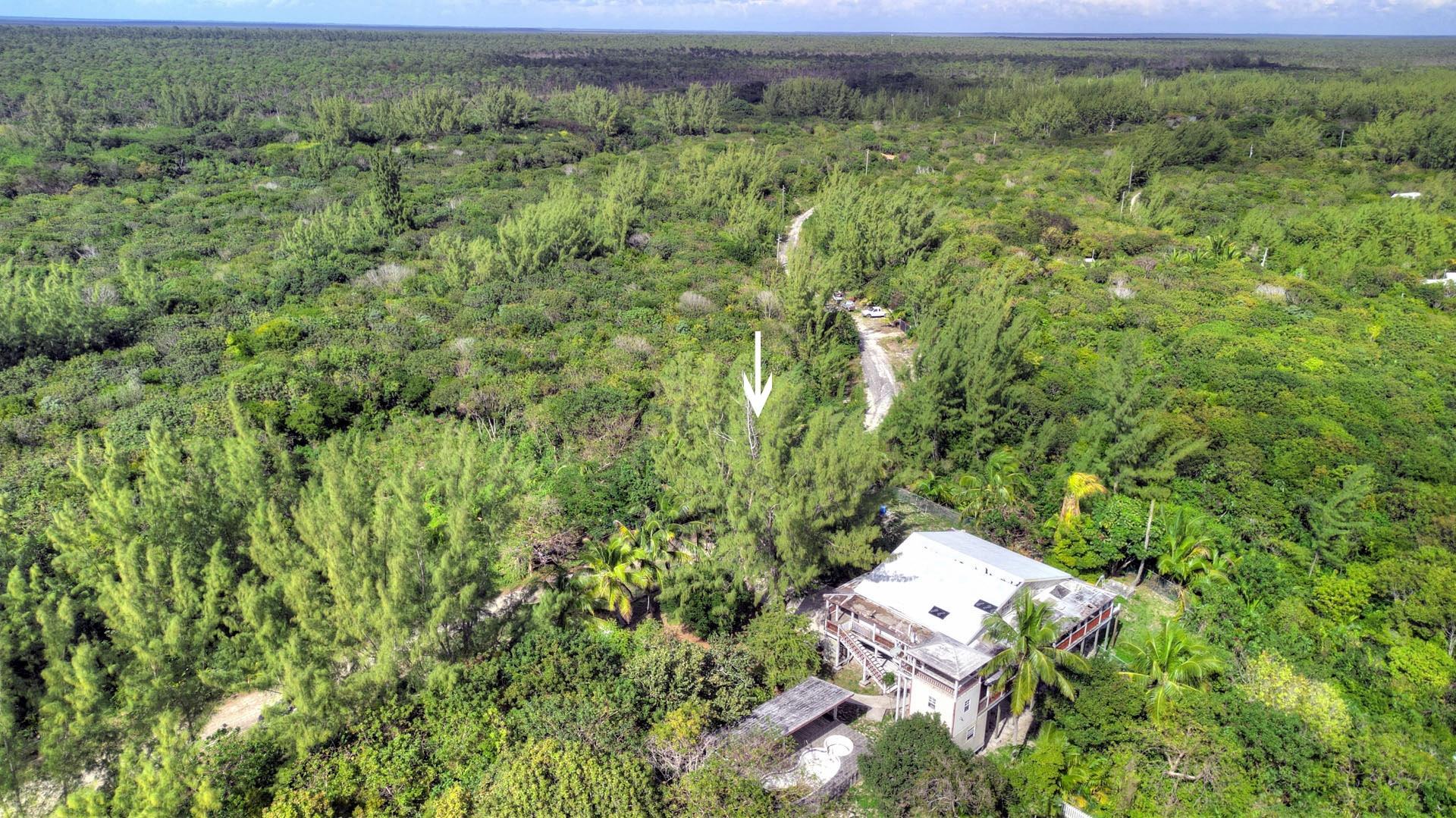 BAHAMA PALM SHORES LOT 18