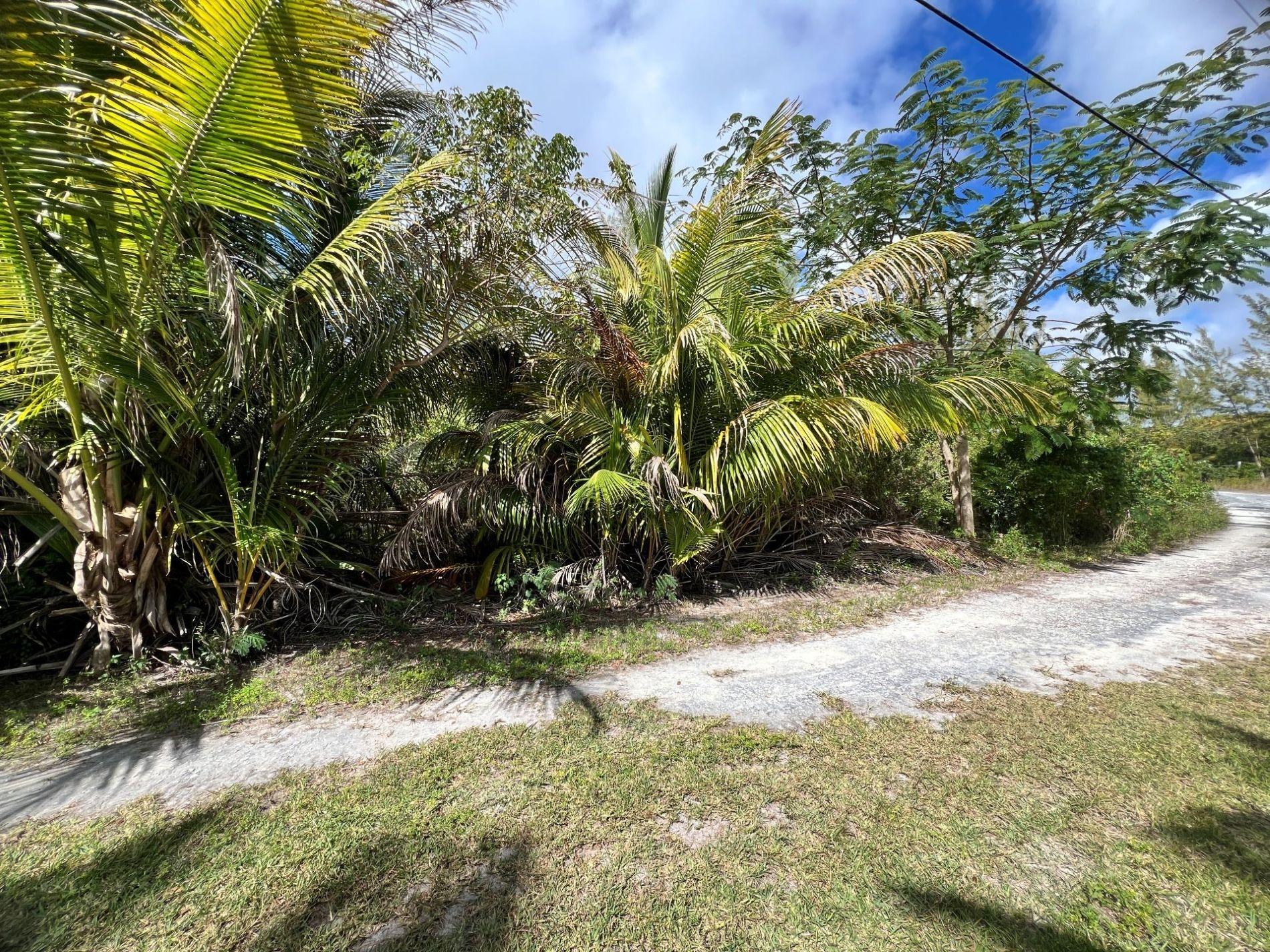 BAHAMA PALM SHORES LOT 18