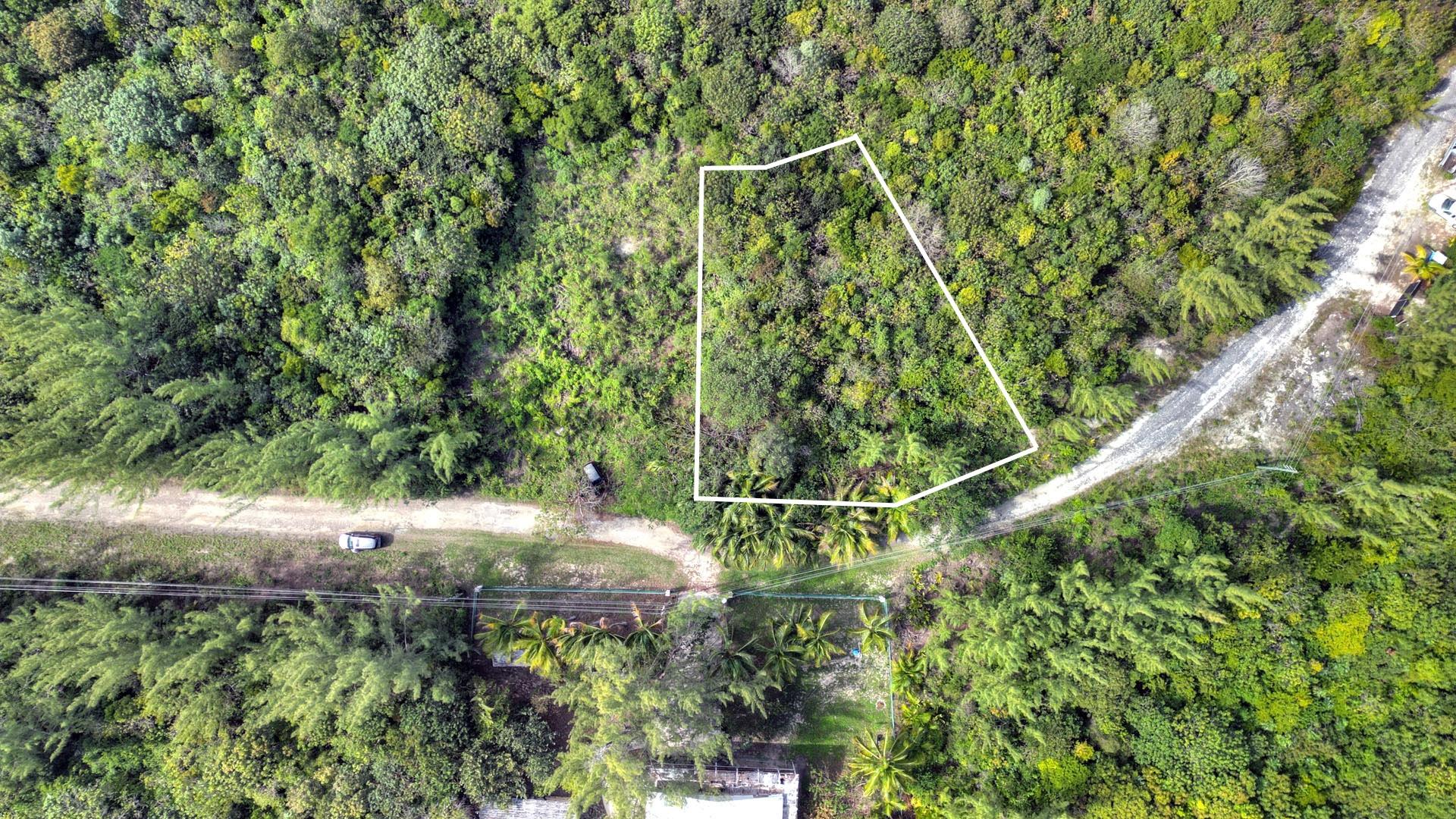 BAHAMA PALM SHORES LOT 18