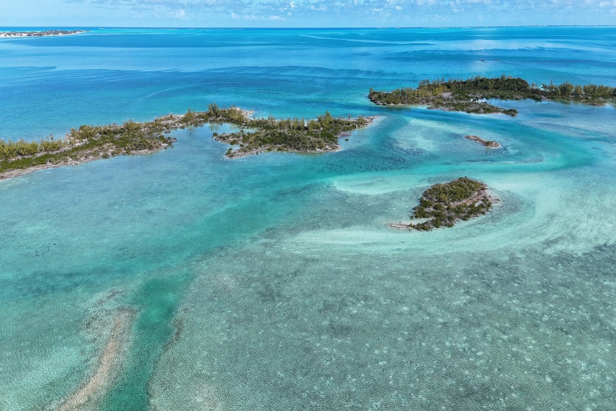 BoneFish Lot 11