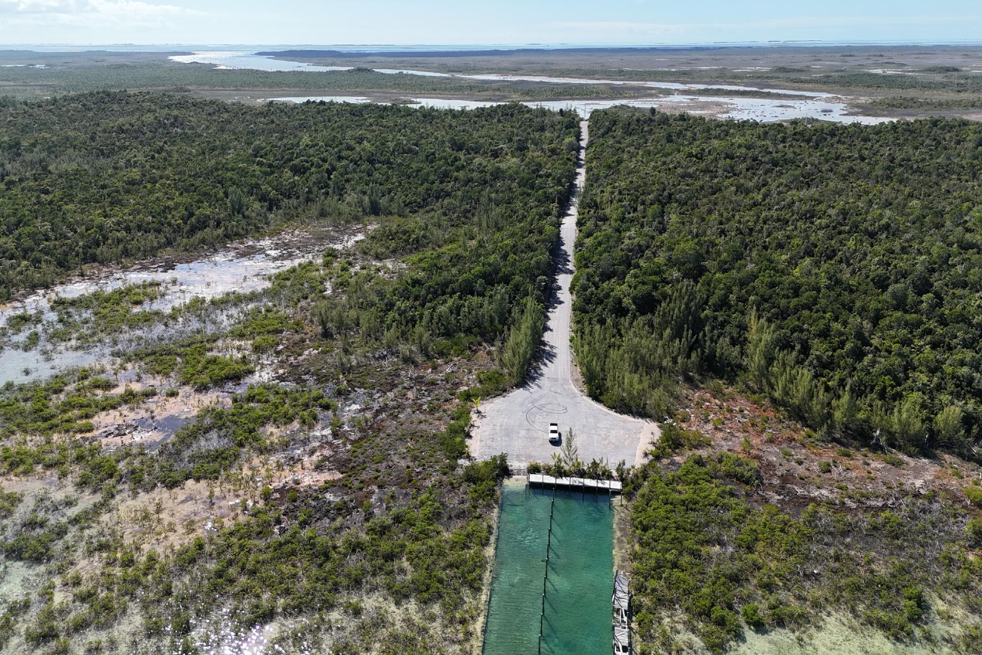 BoneFish Lot 11