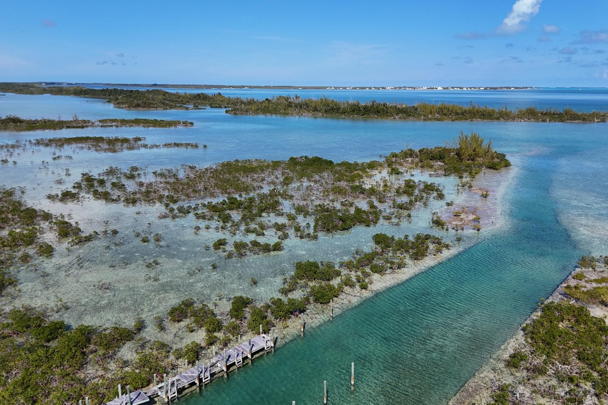BoneFish Lot 11
