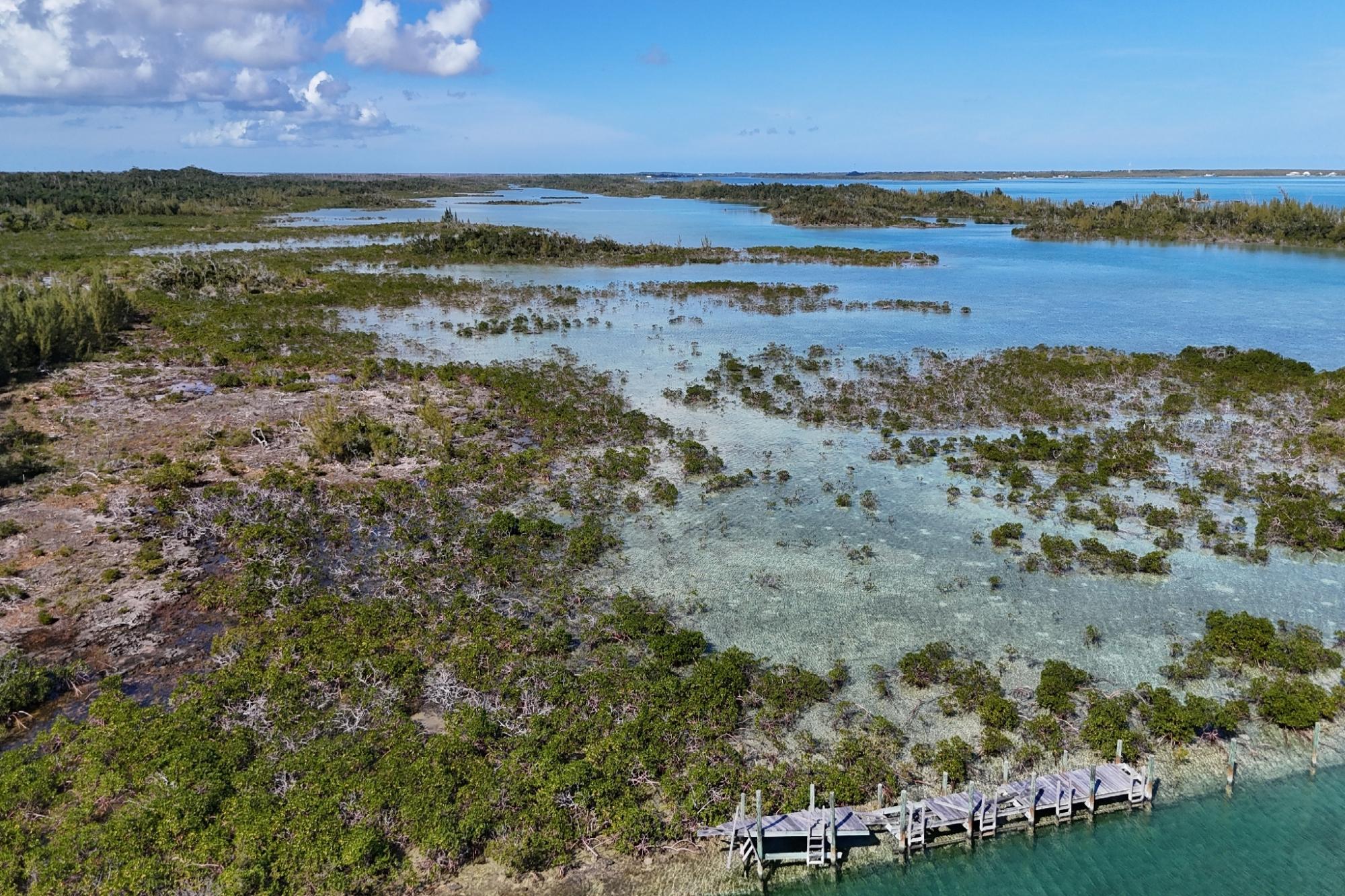 BoneFish Lot 11