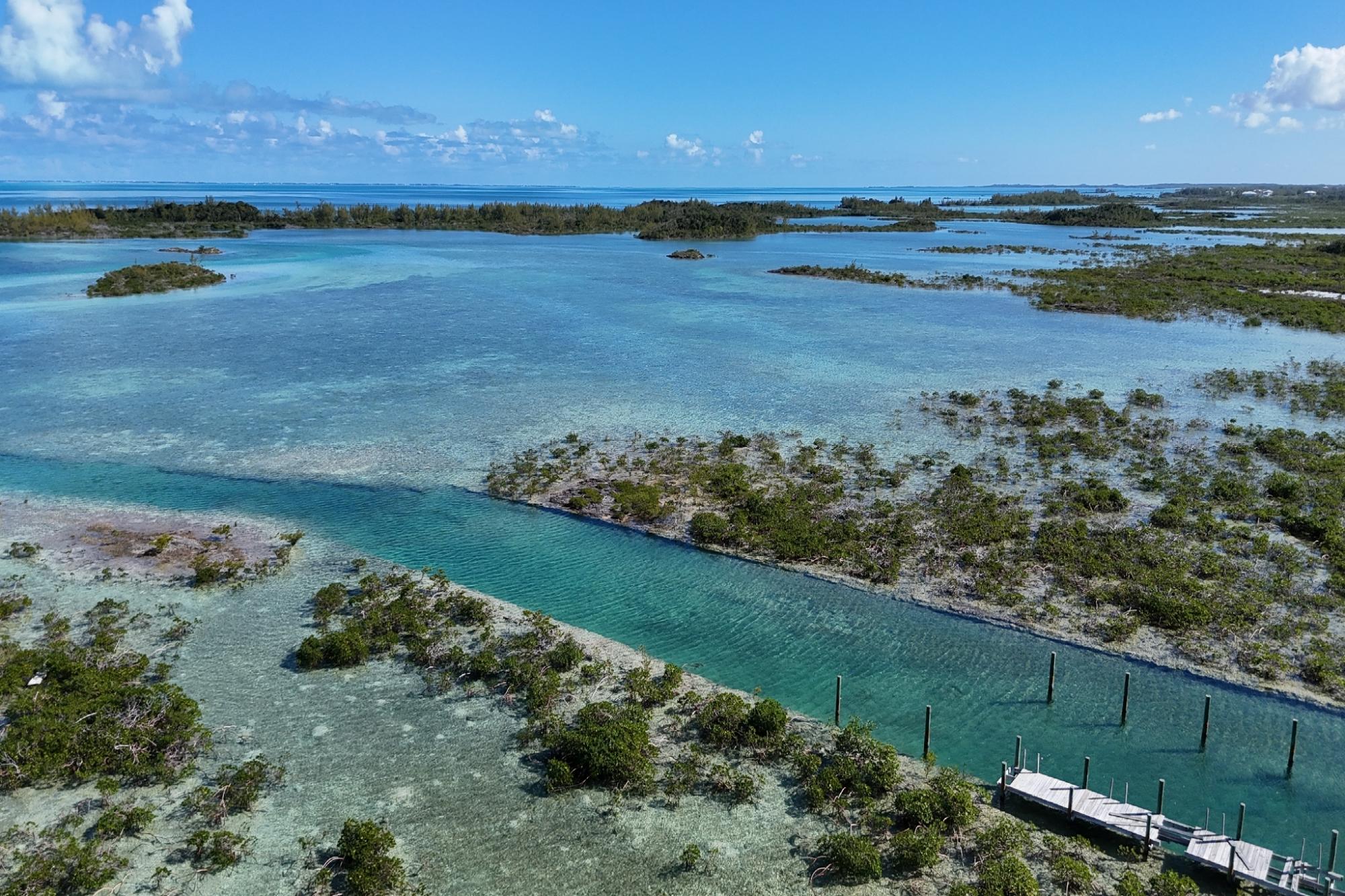 BoneFish Lot 11