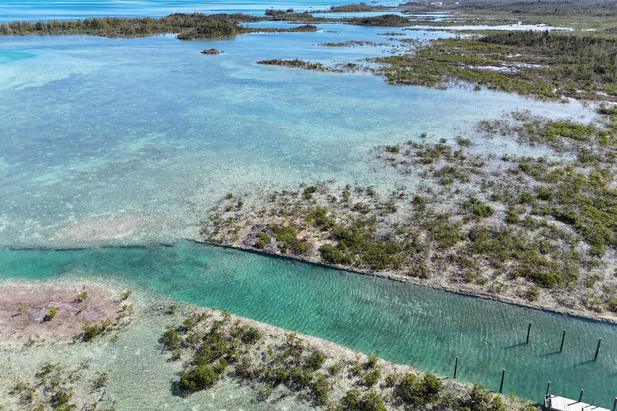BoneFish Lot 11