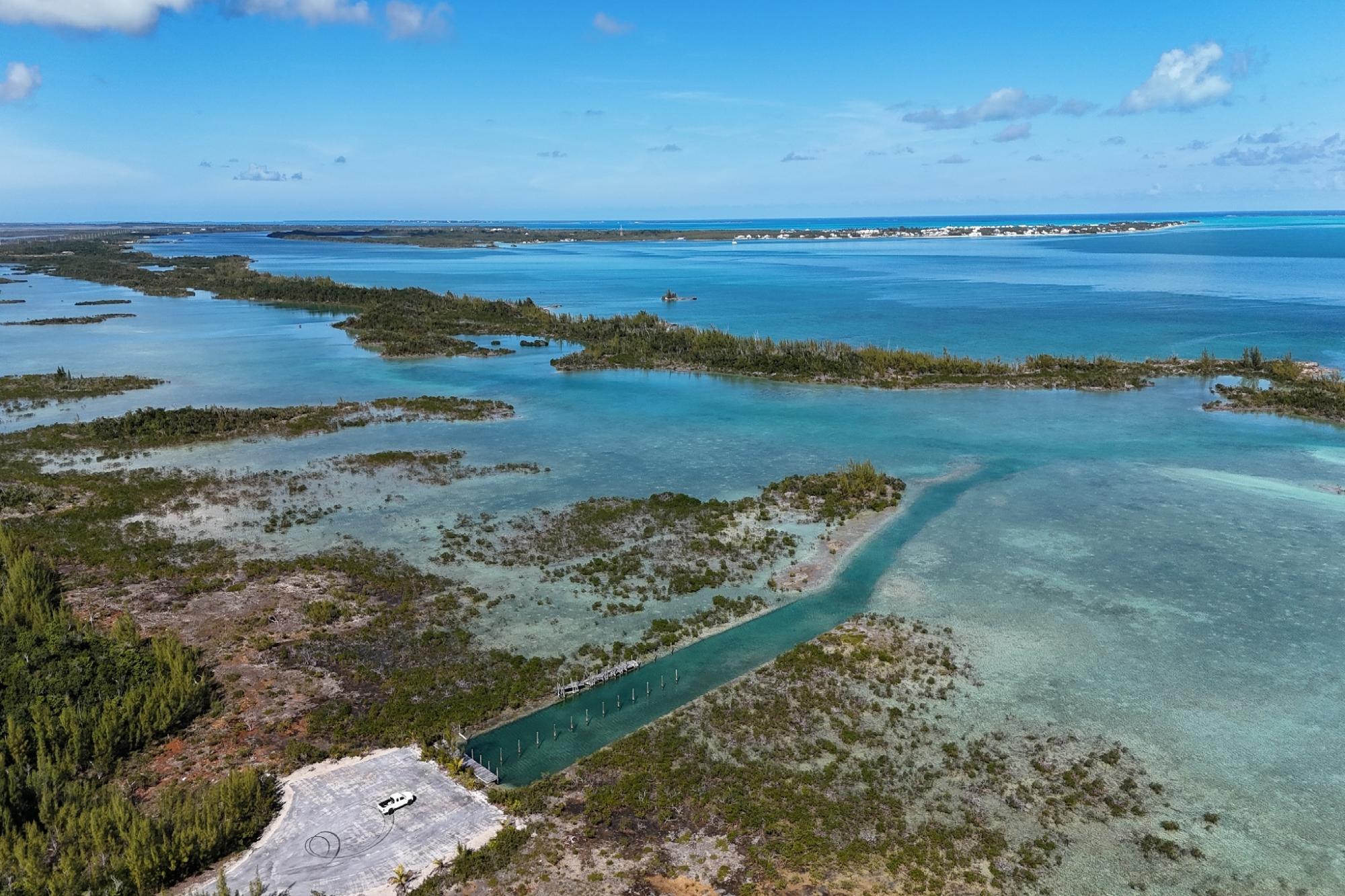 BoneFish Lot 11