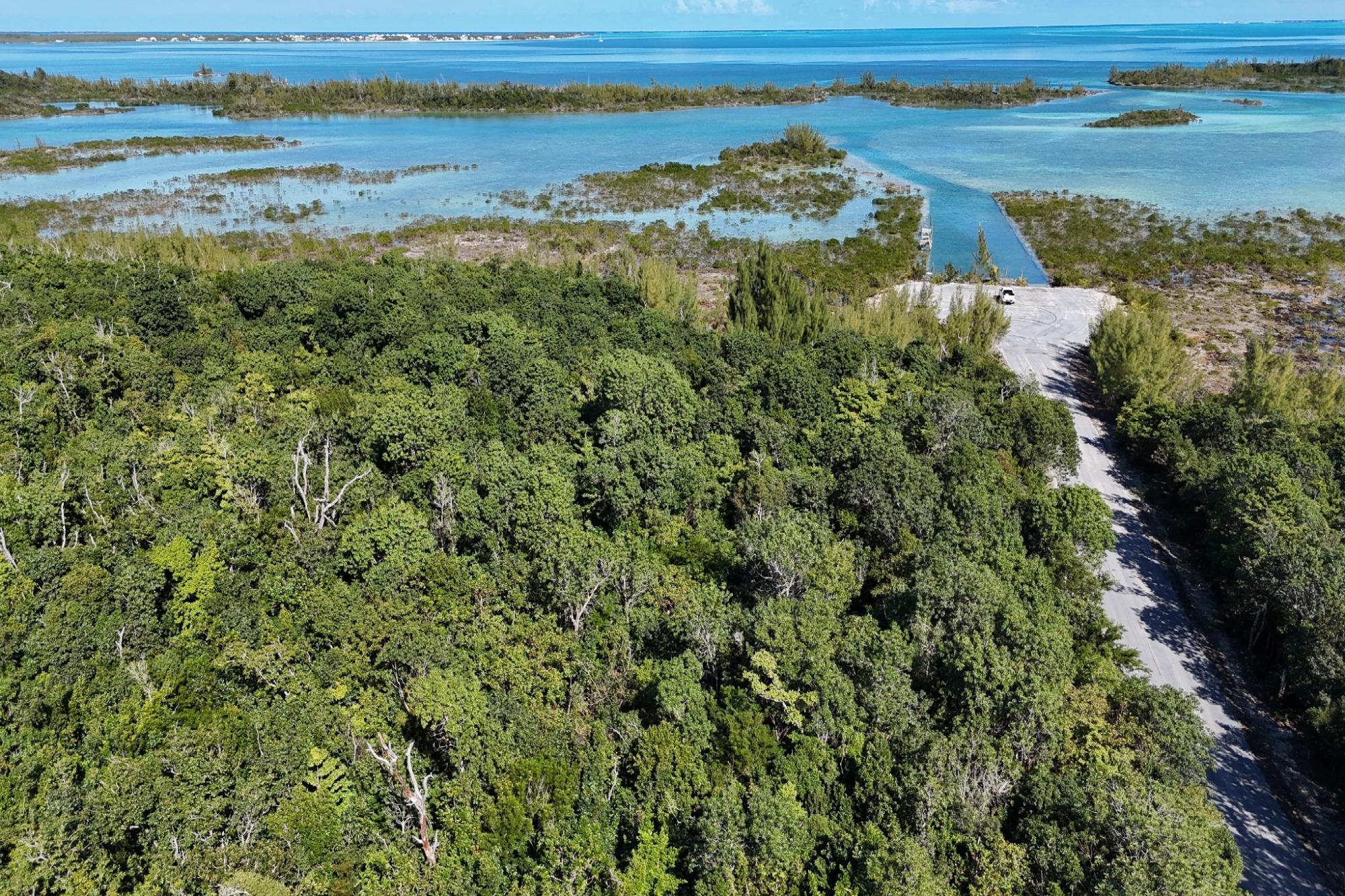 BoneFish Lot 11