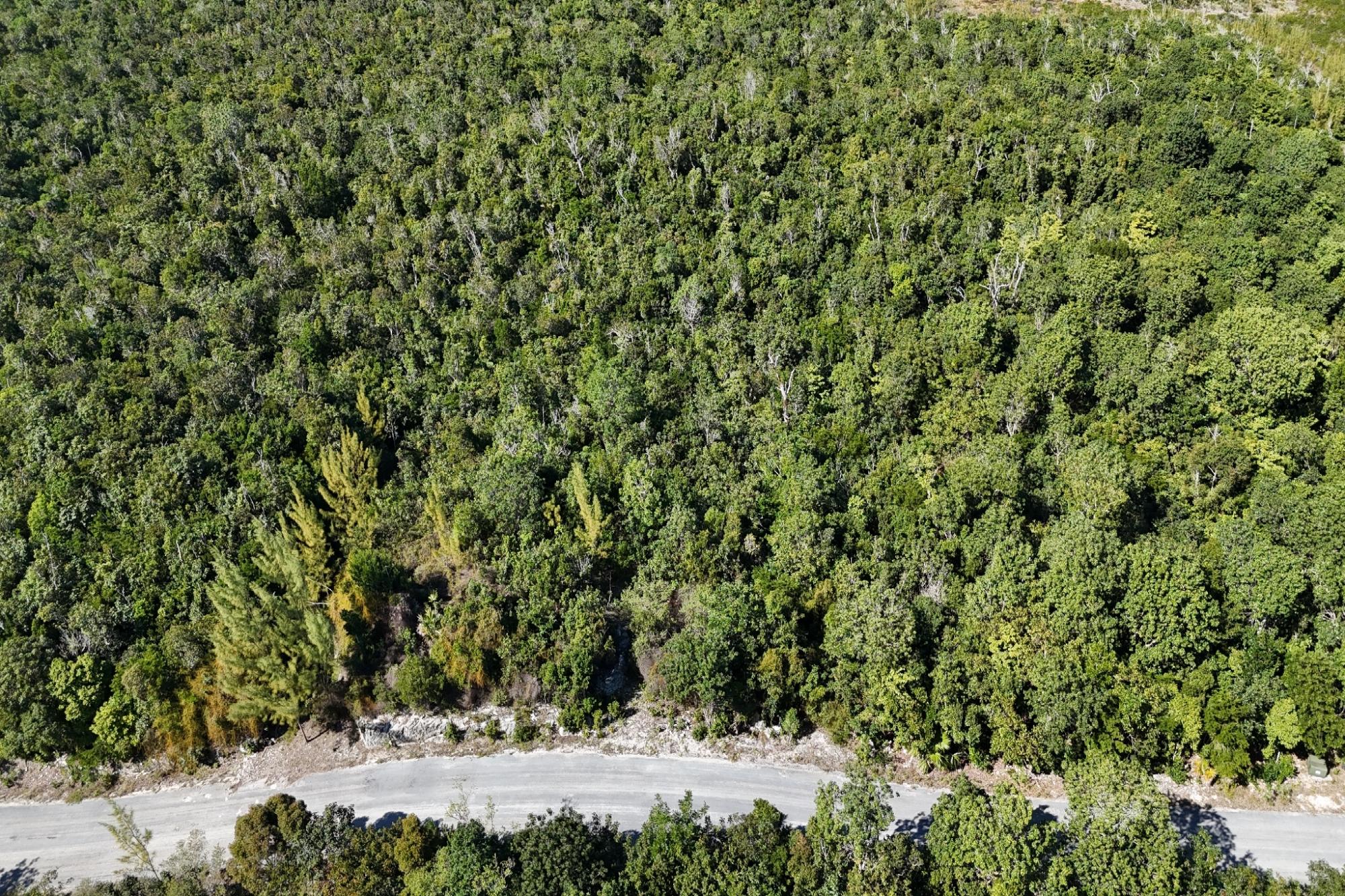 BoneFish Lot 11