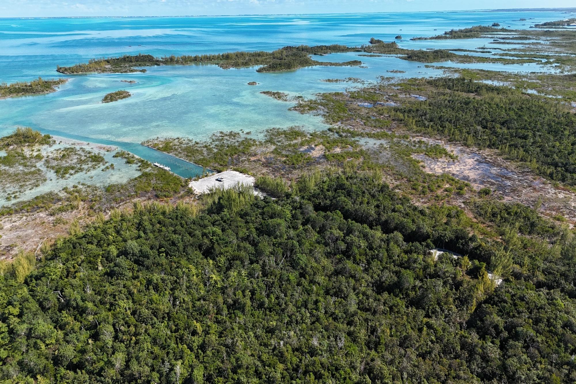 BoneFish Lot 11