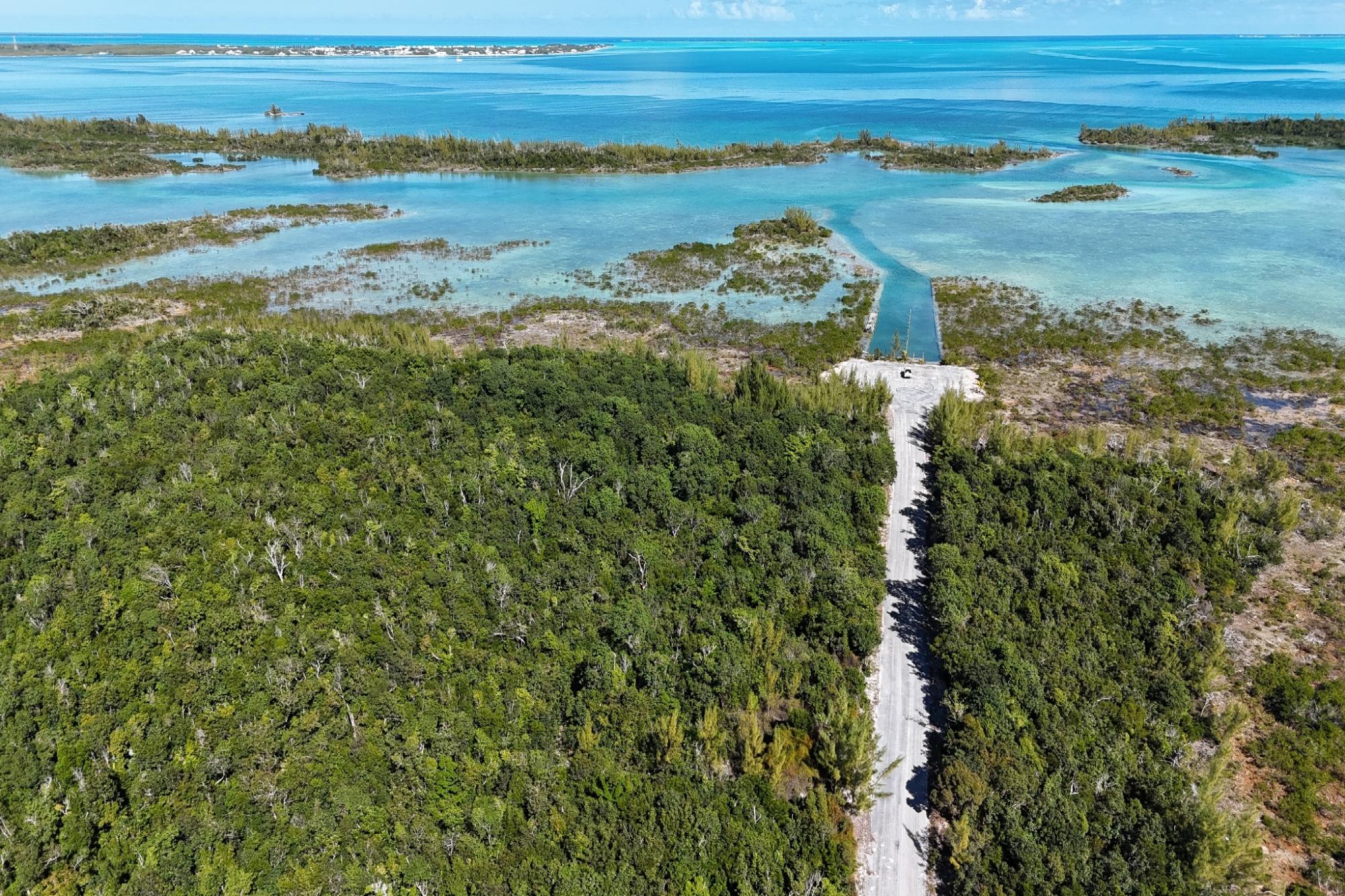 BoneFish Lot 11