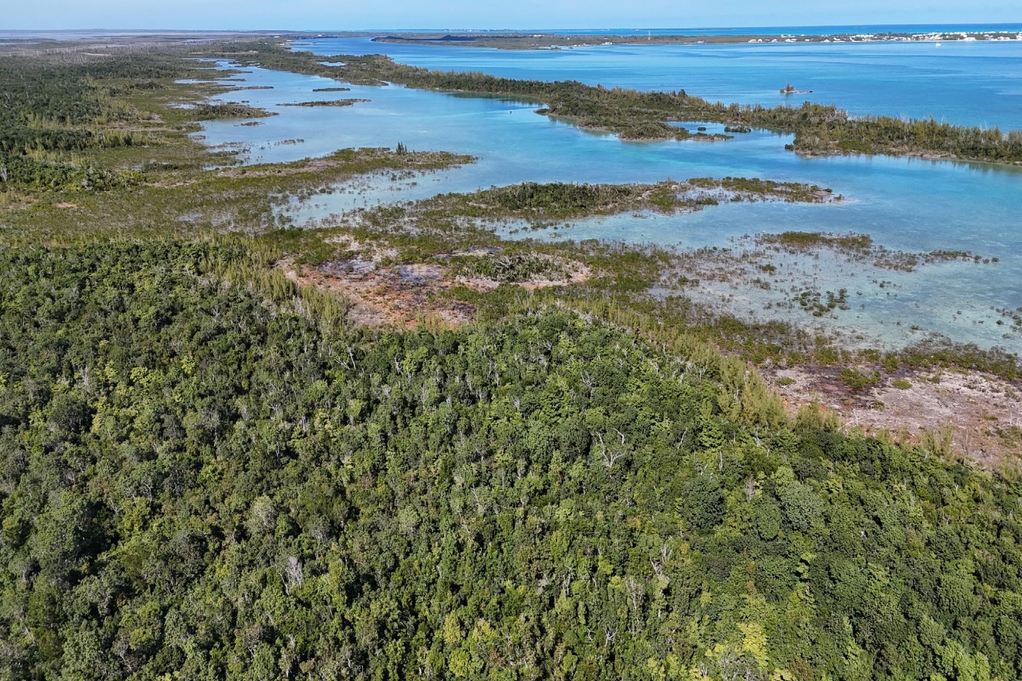 BoneFish Lot 11