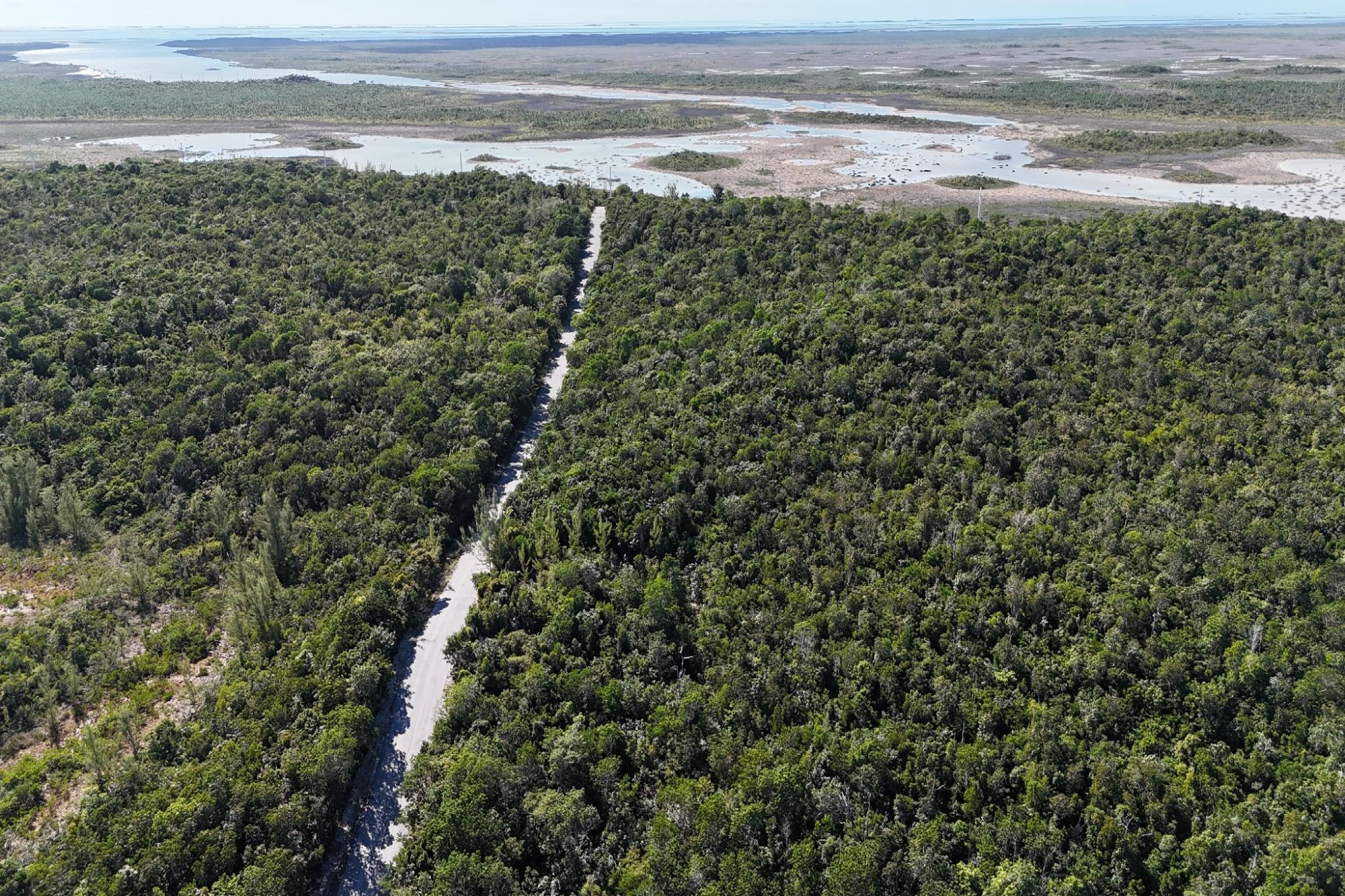 BoneFish Lot 11