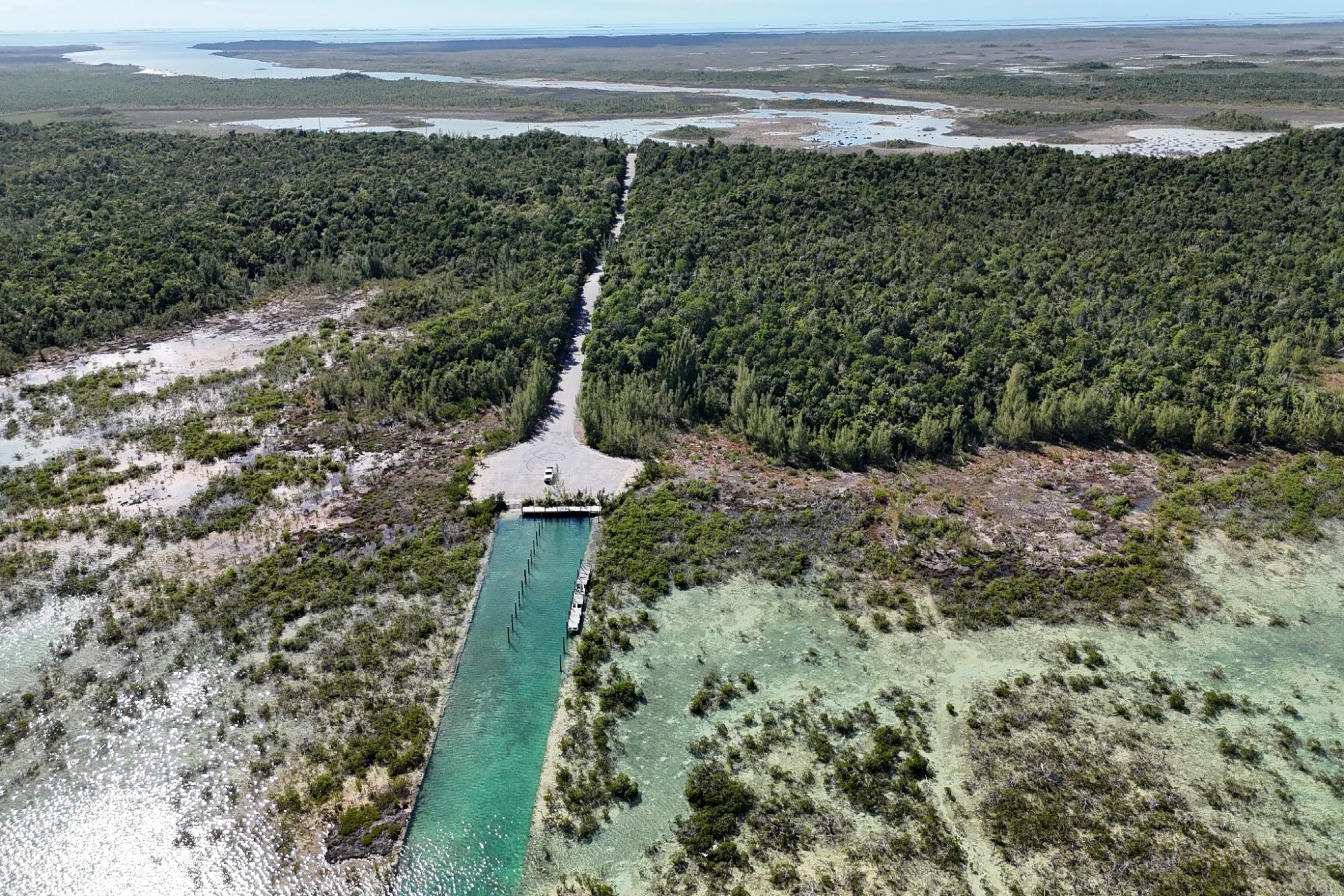 BoneFish Lot 11