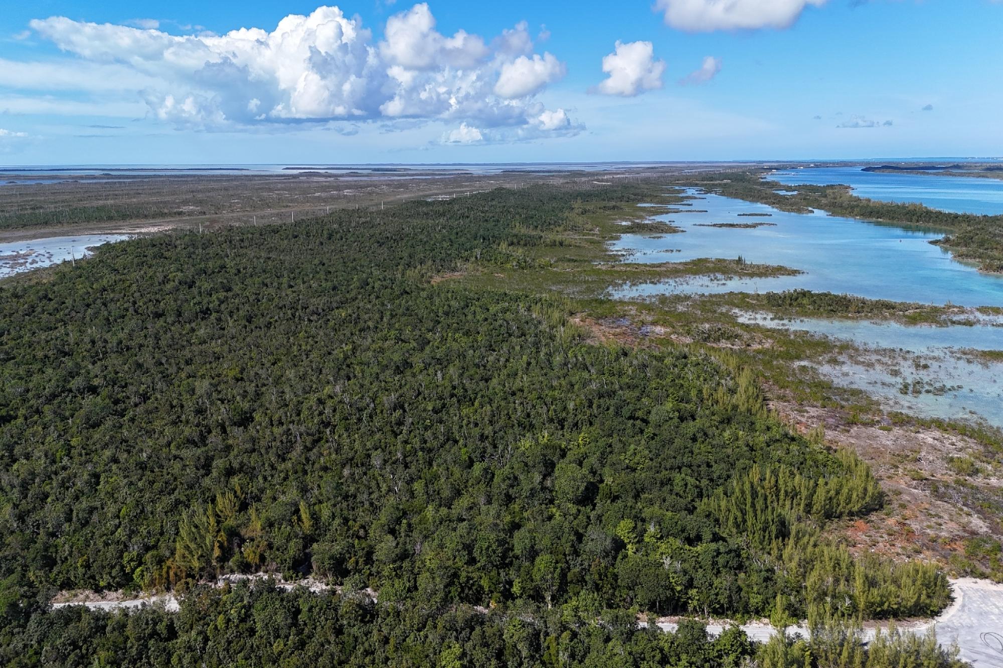 BoneFish Lot 11