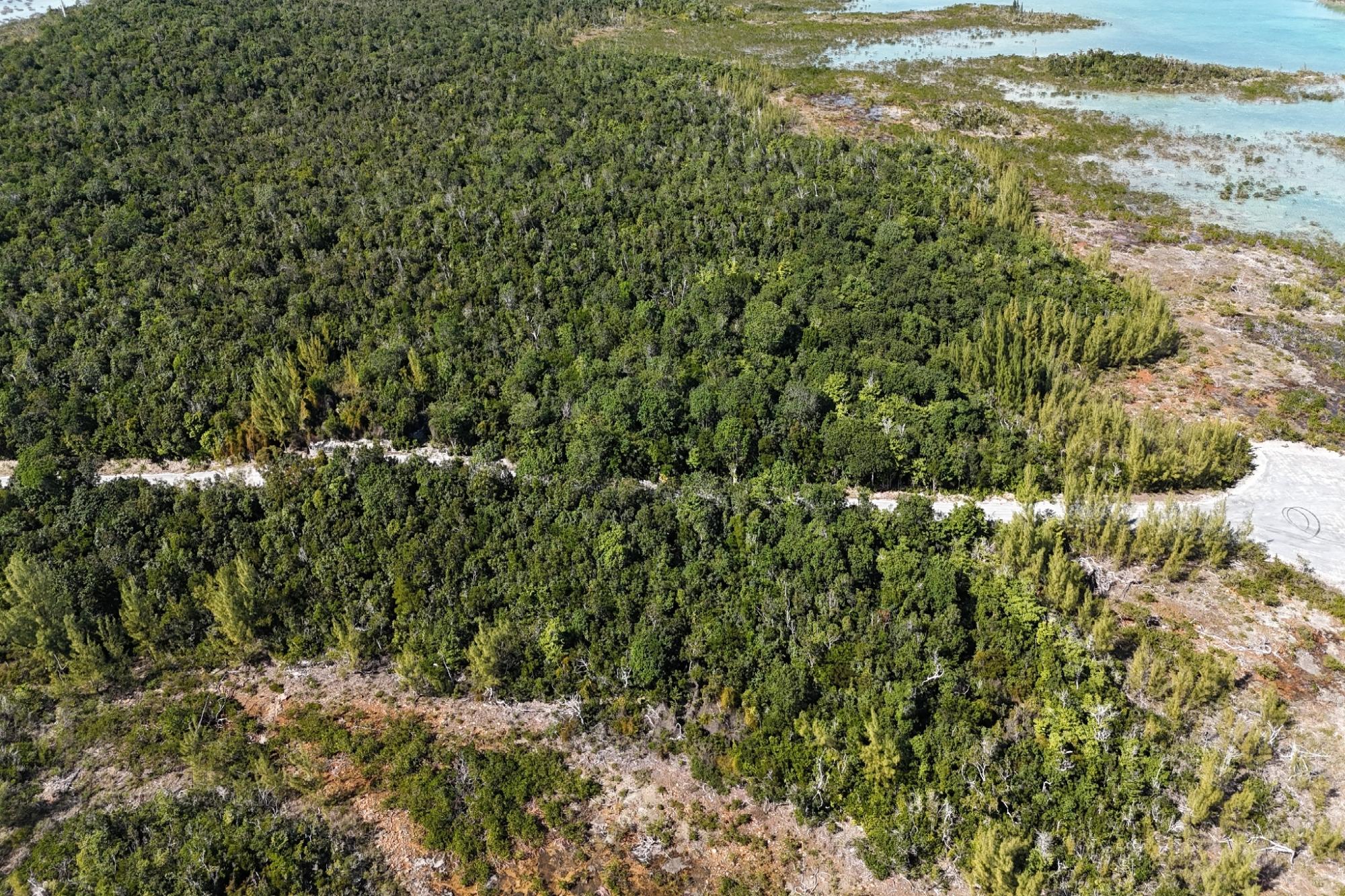 BoneFish Lot 11