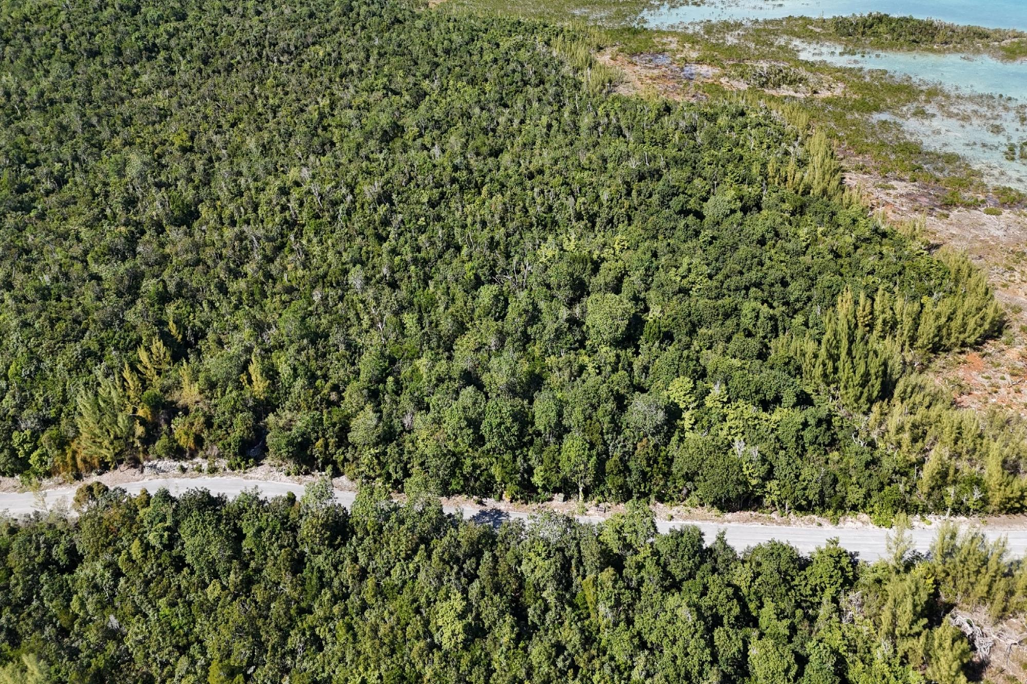 BoneFish Lot 11