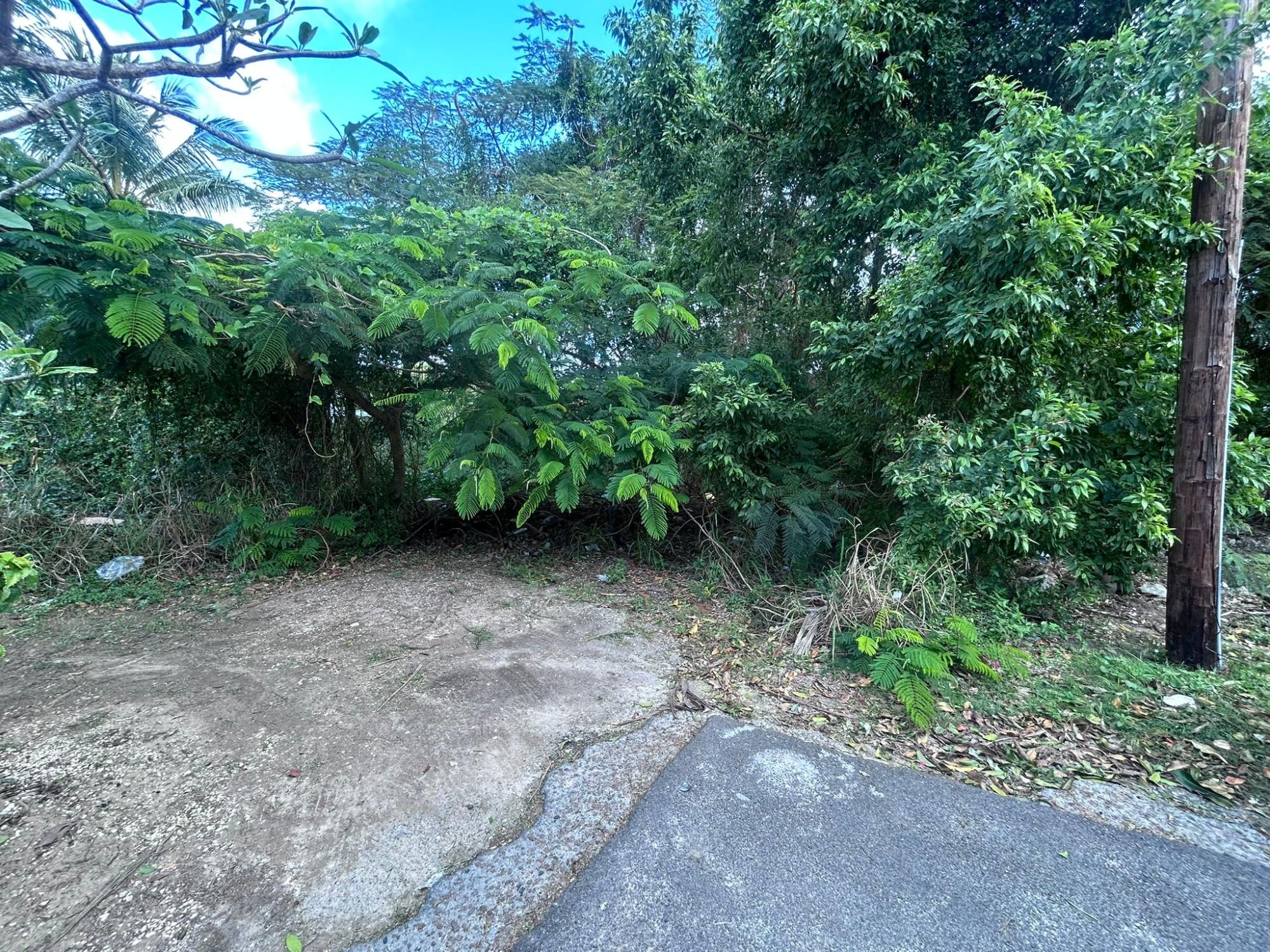 LOT WESTERN SIDE BERNARD