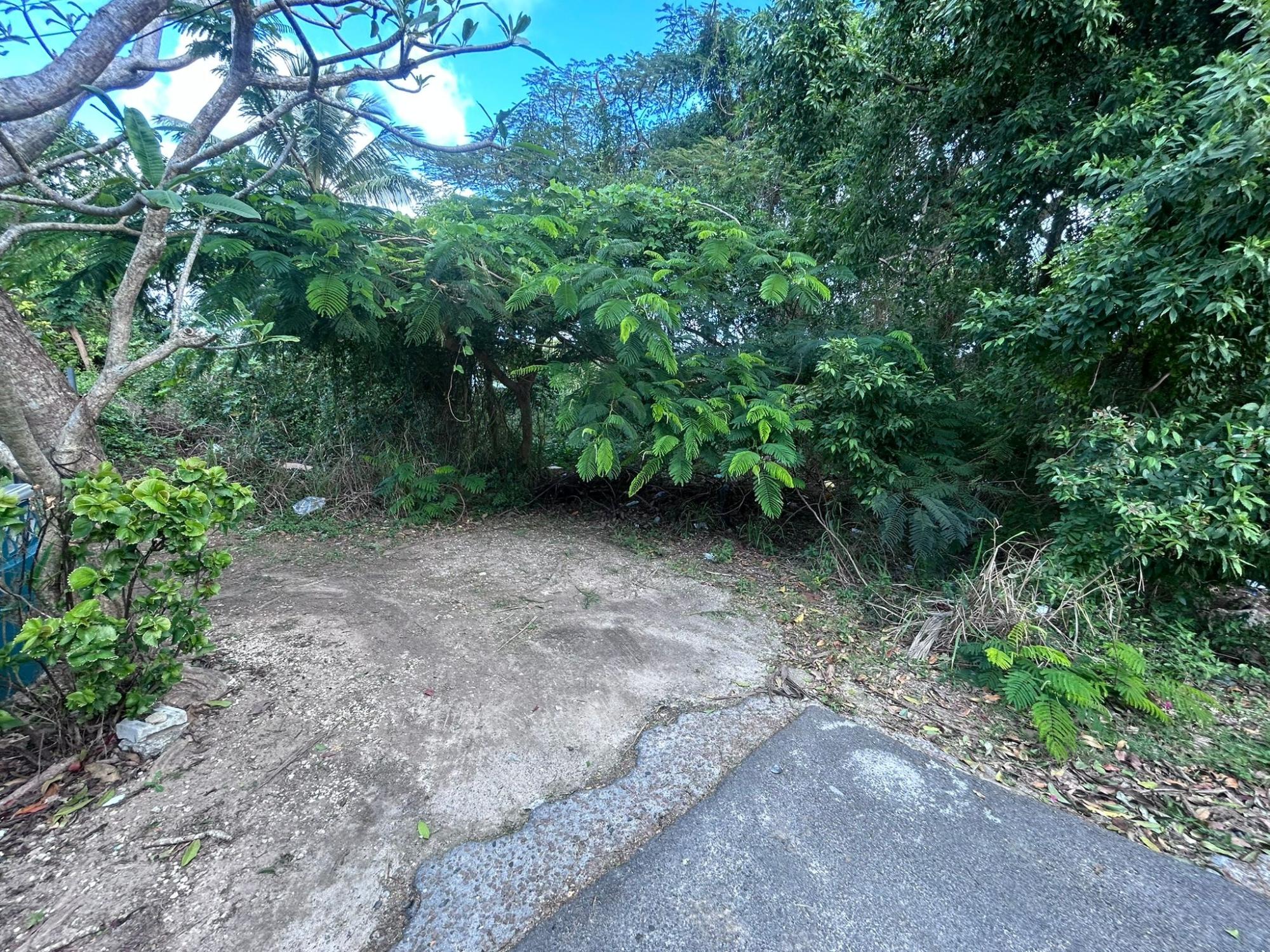 LOT WESTERN SIDE BERNARD