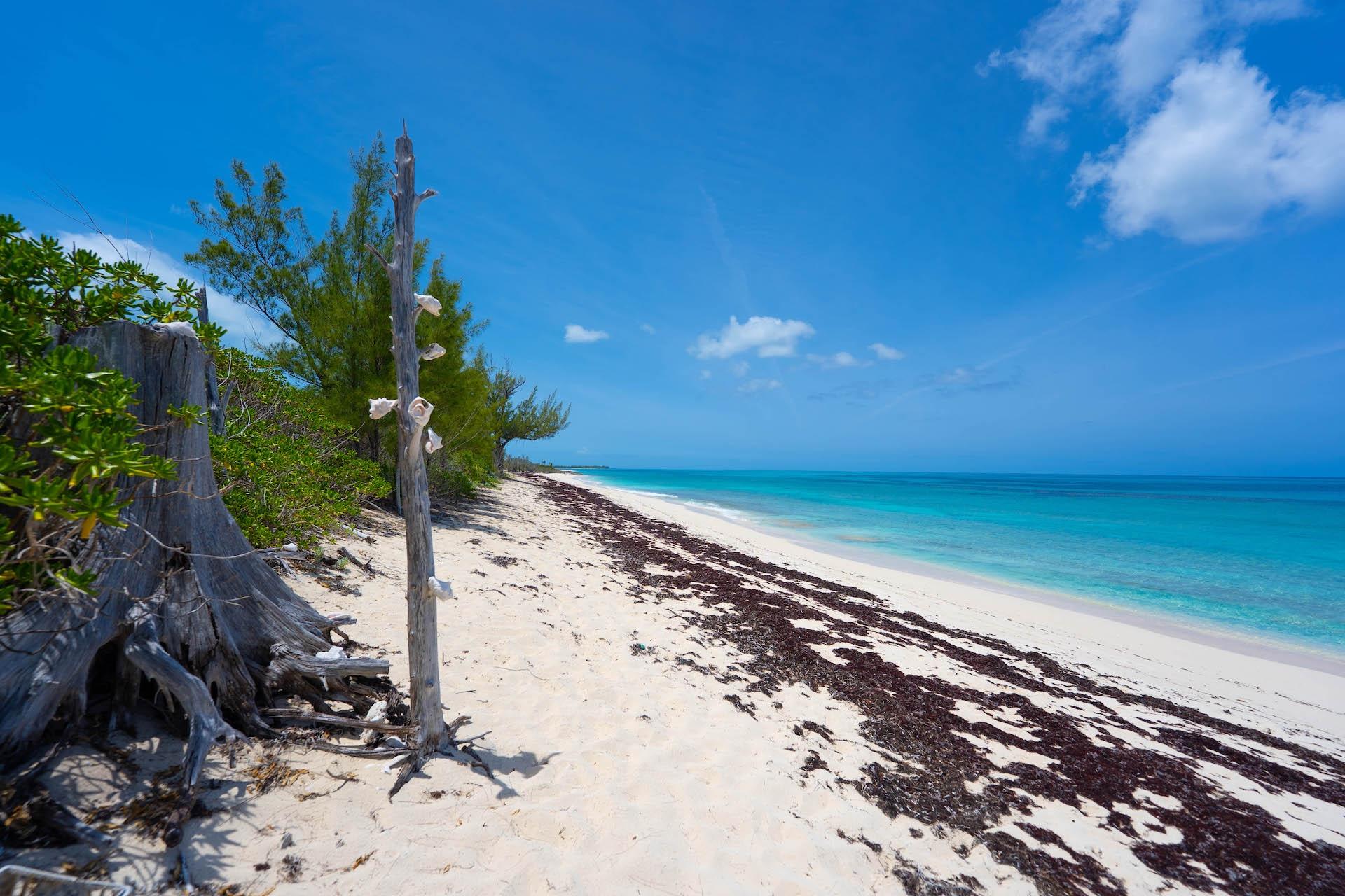COCO BAY RETREAT