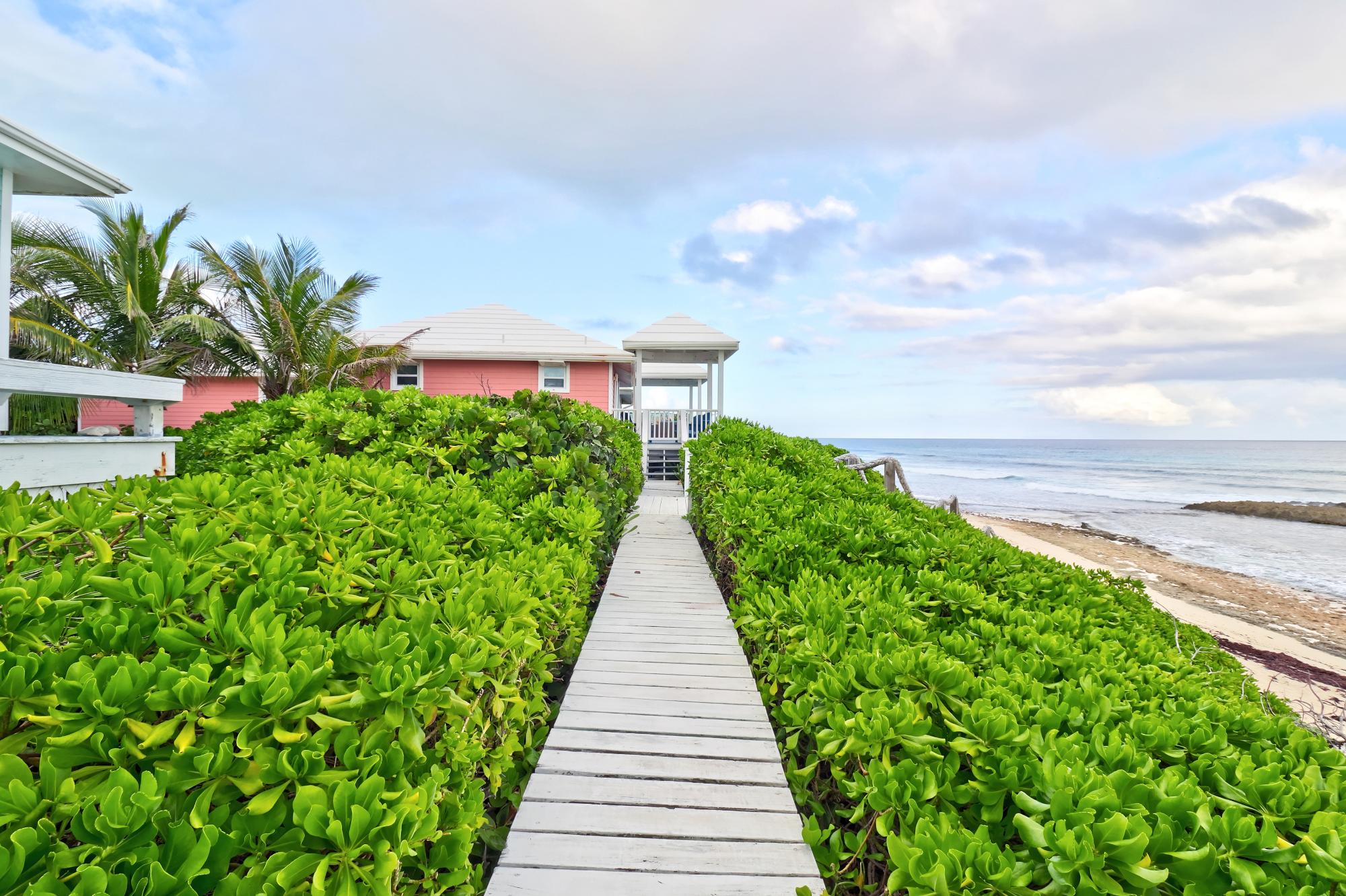 Sea Star Dorros Cove