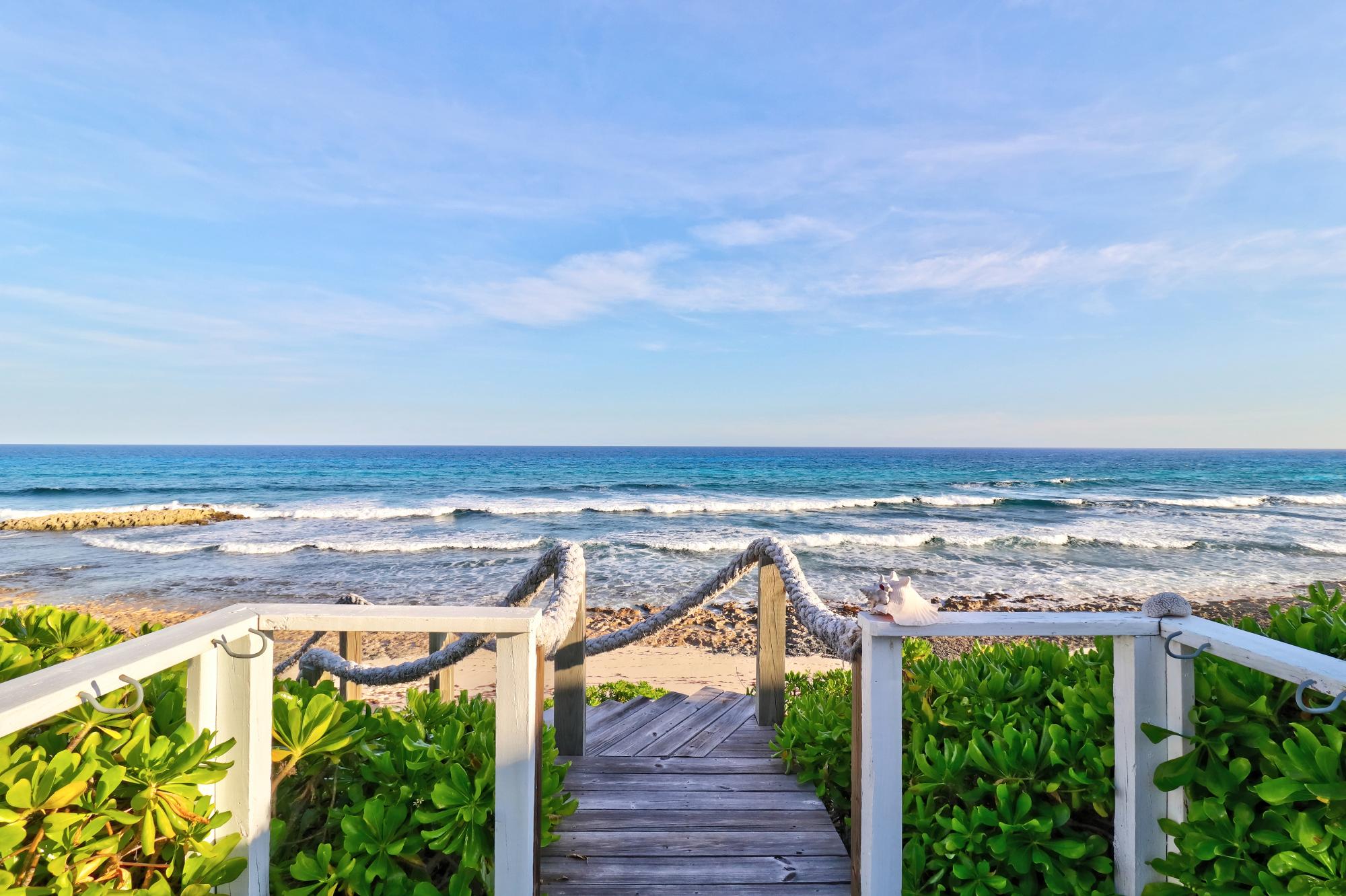 Sea Star Dorros Cove