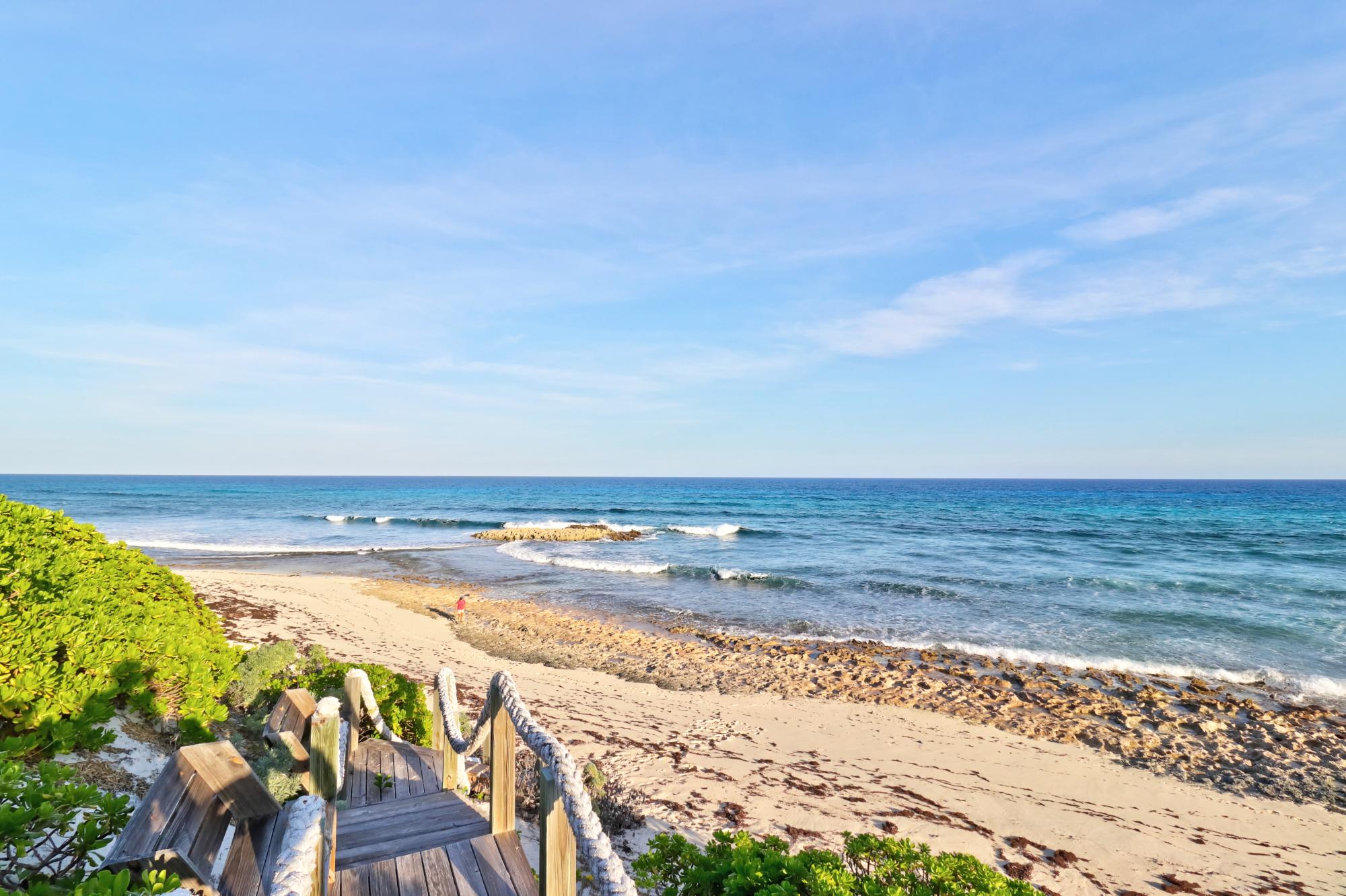 Sea Star Dorros Cove