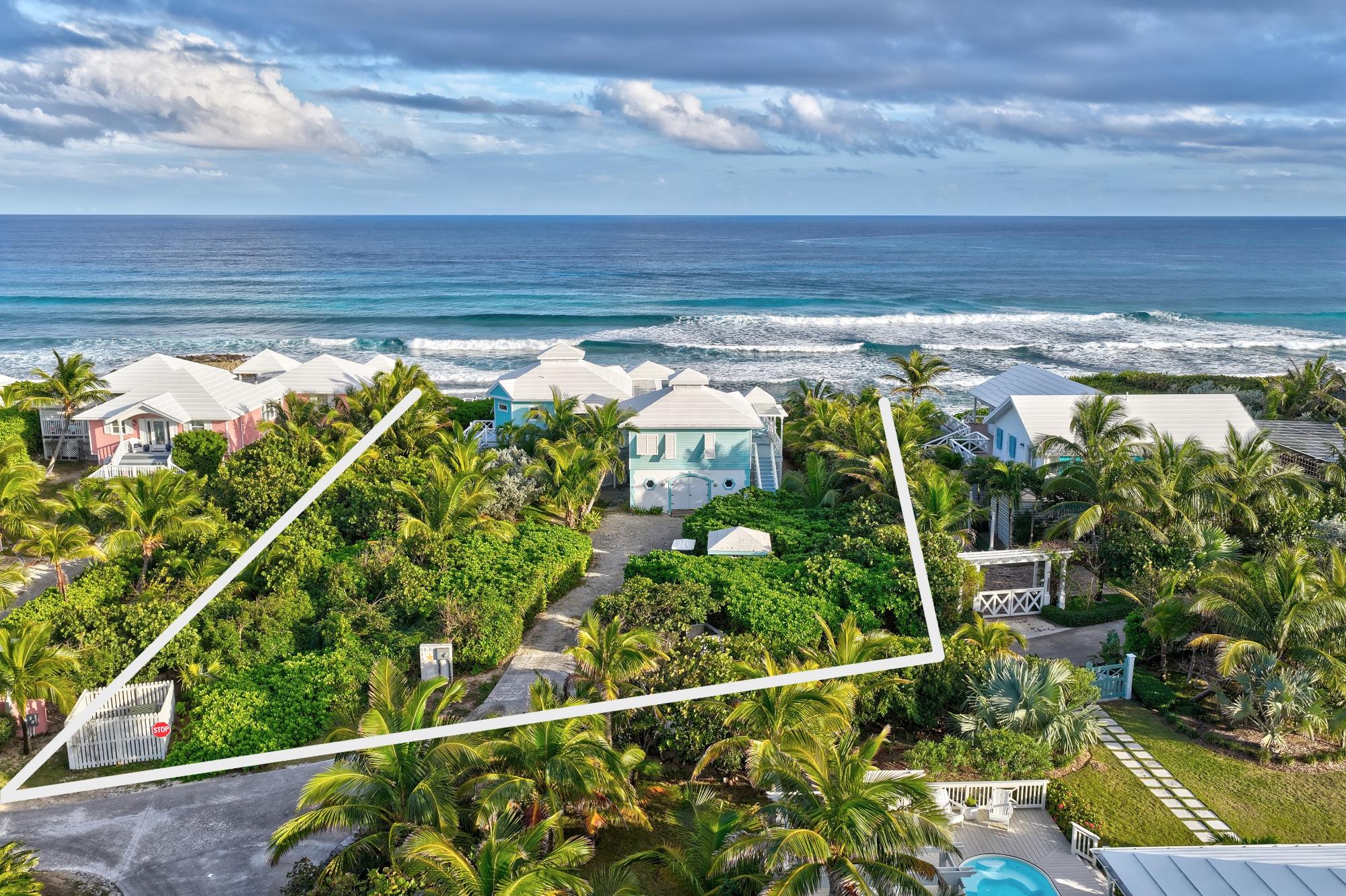Sea Star Dorros Cove
