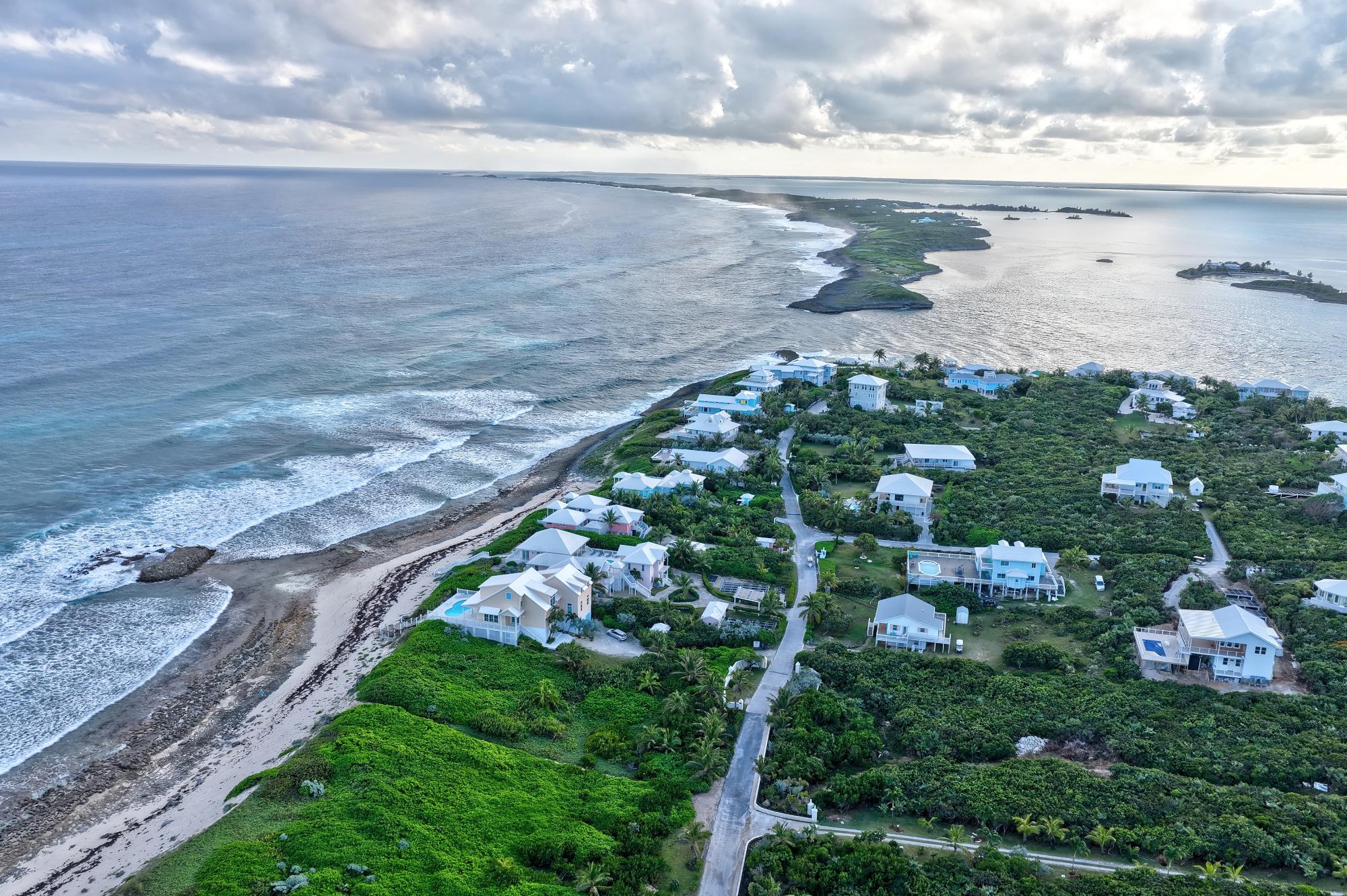 Sea Star Dorros Cove