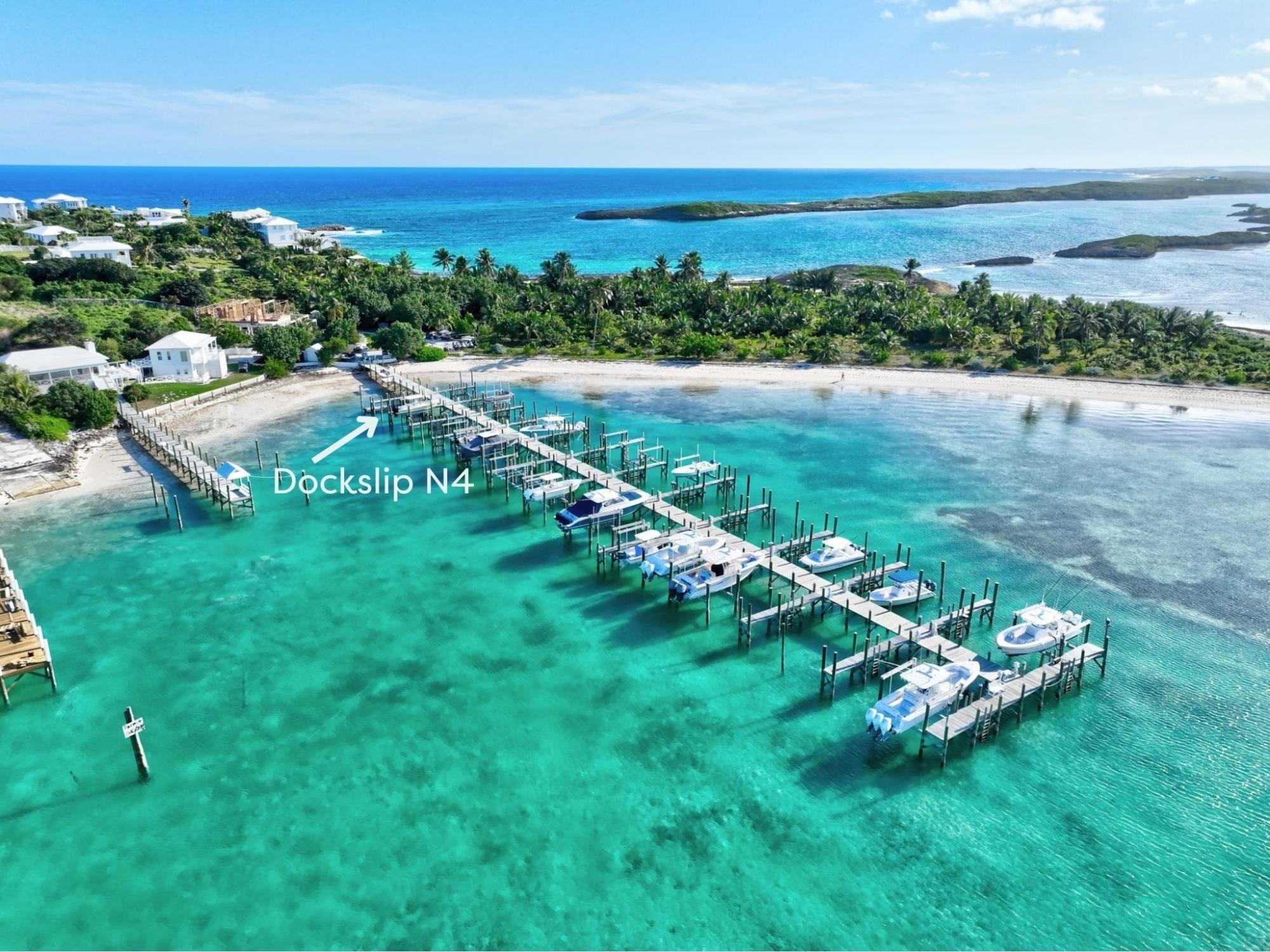 Sea Star Dorros Cove
