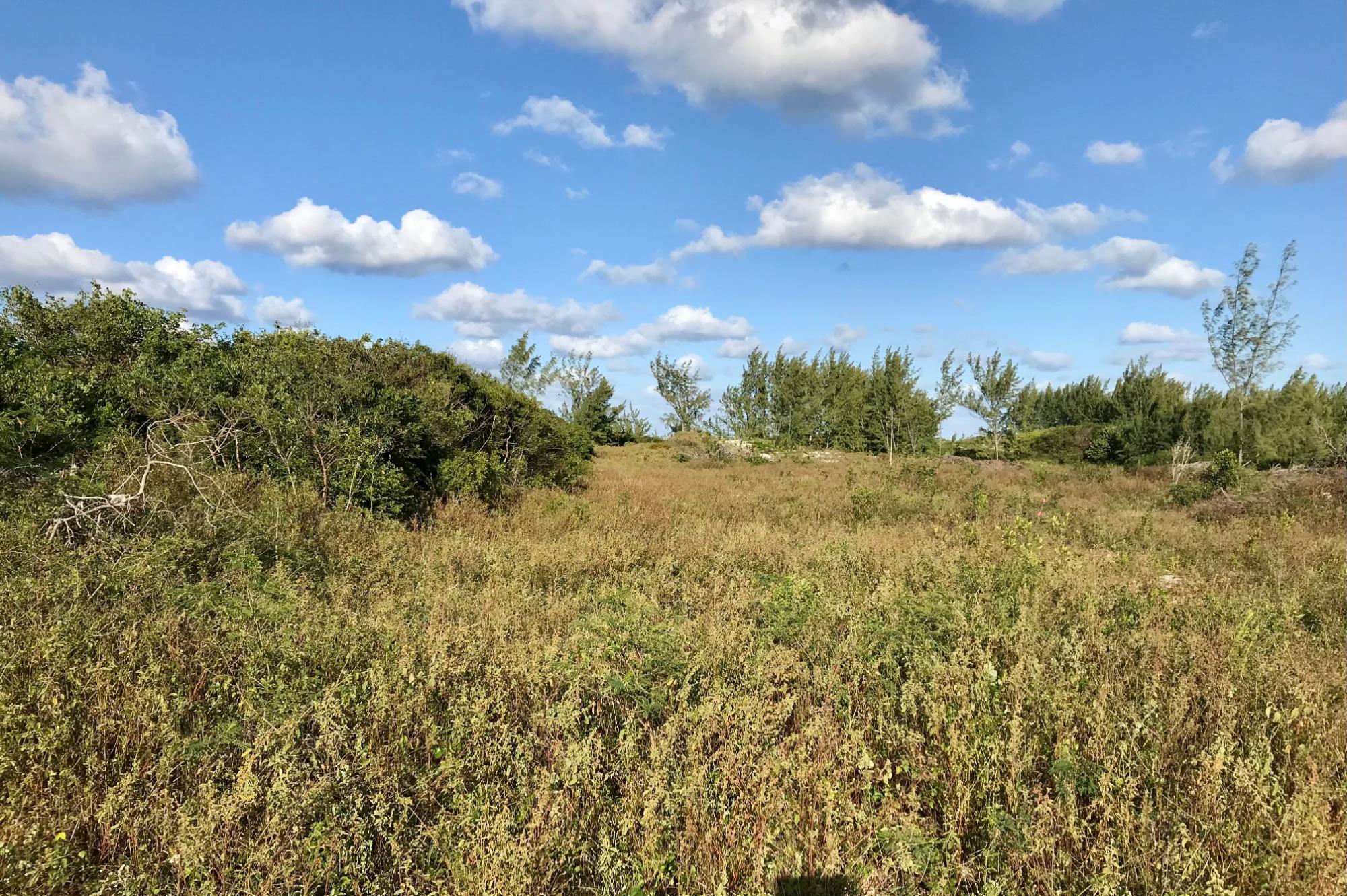 GOVERNOR’S HARBOUR LOT B1