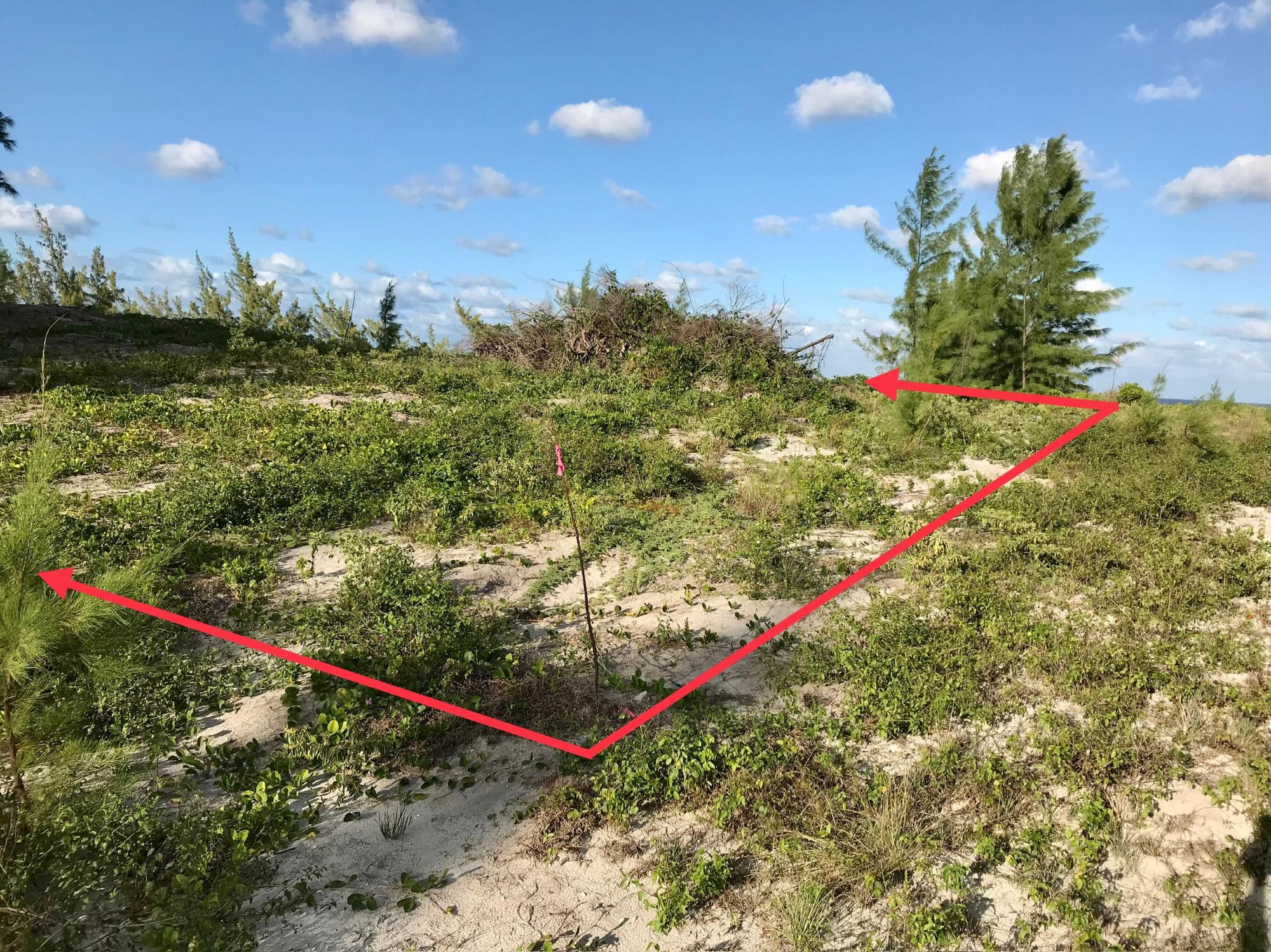 OCEAN VIEW LOT C1 GOVERNO