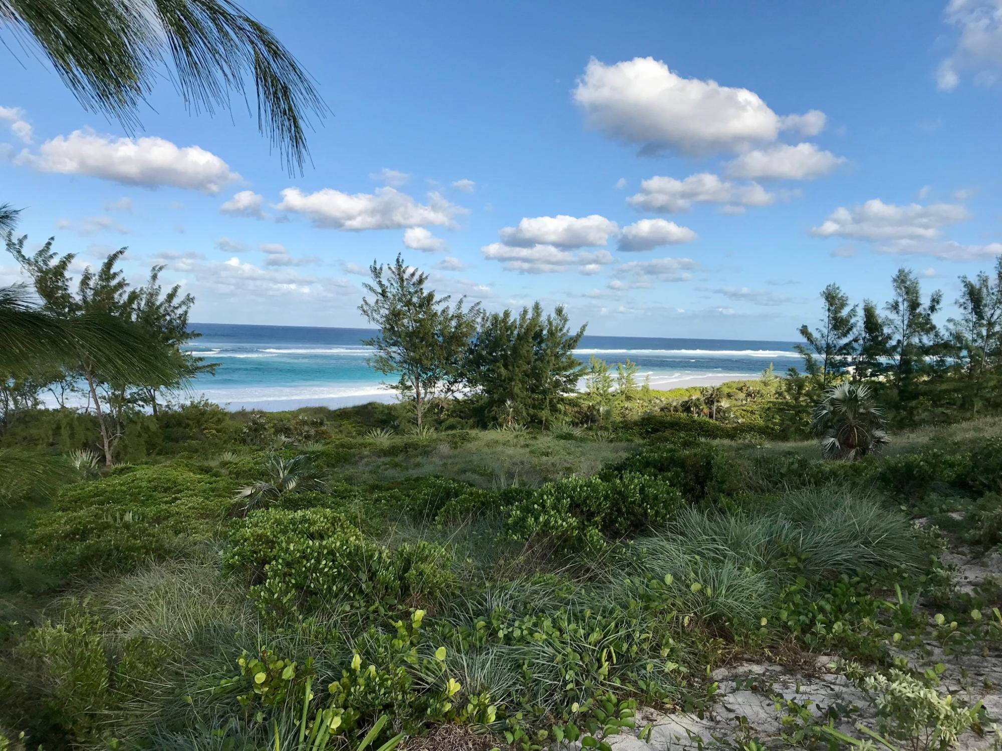 OCEAN VIEW LOT C1 GOVERNO