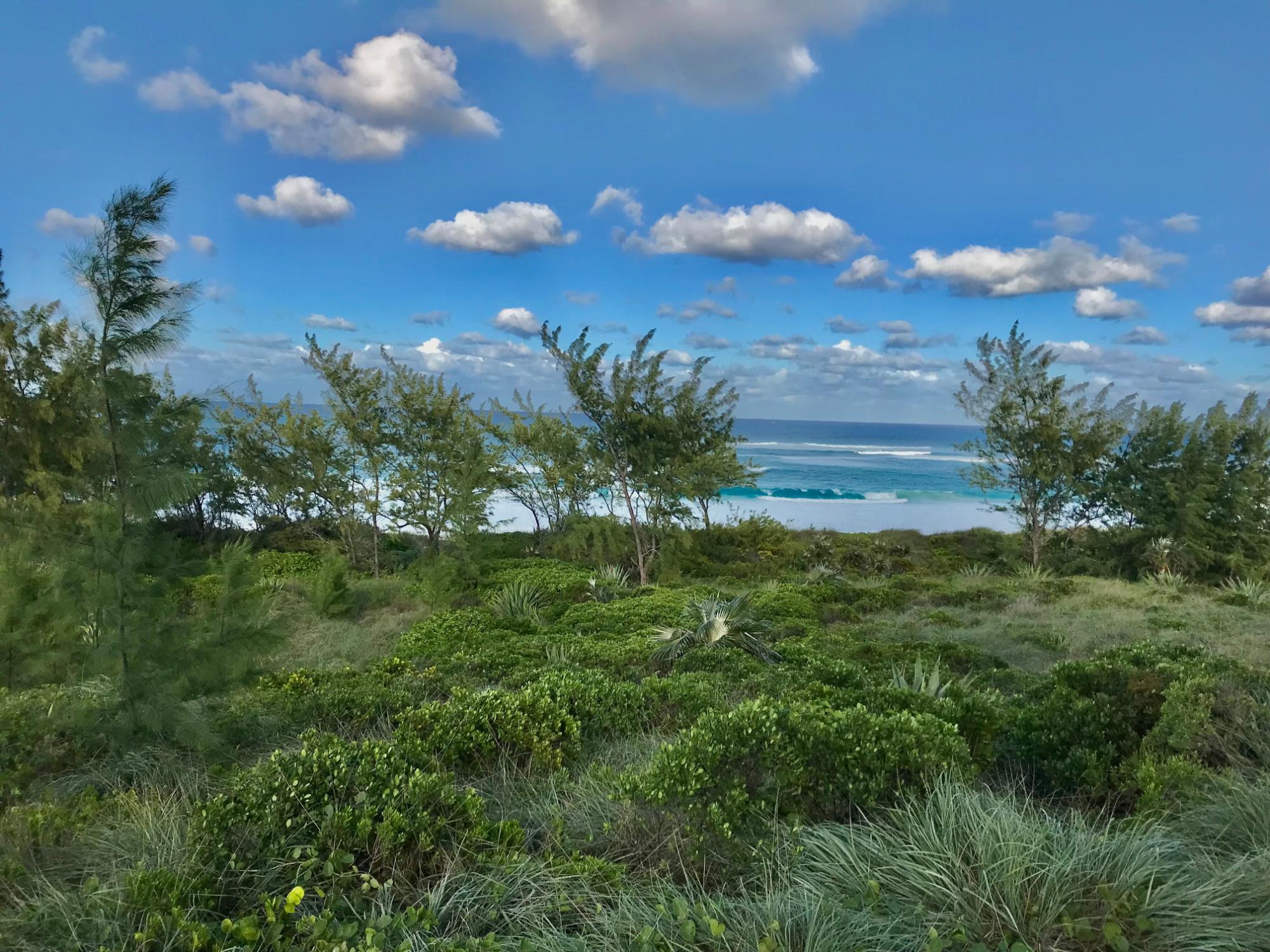 OCEAN VIEW LOT C1 GOVERNO