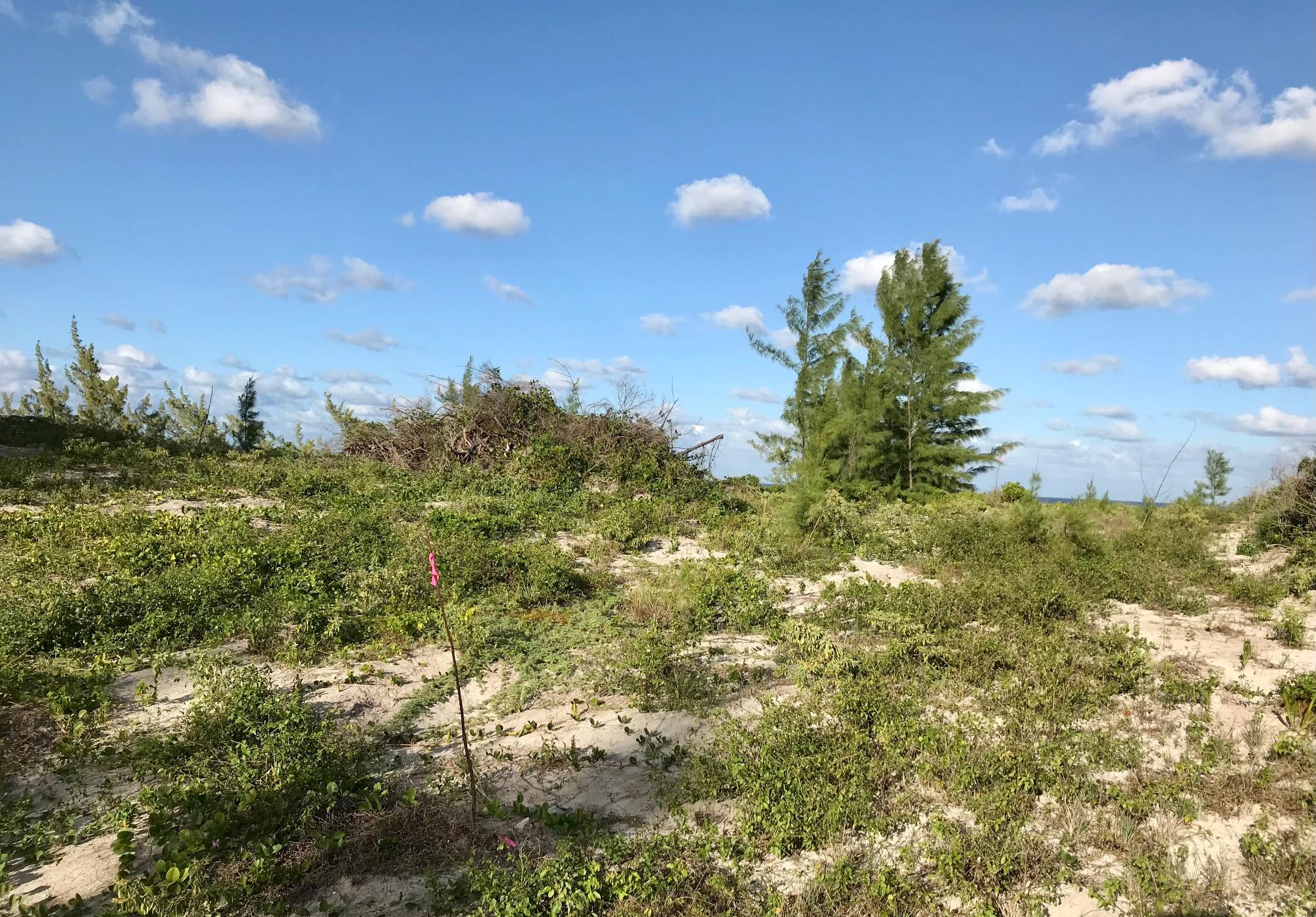 OCEAN VIEW LOT C1 GOVERNO