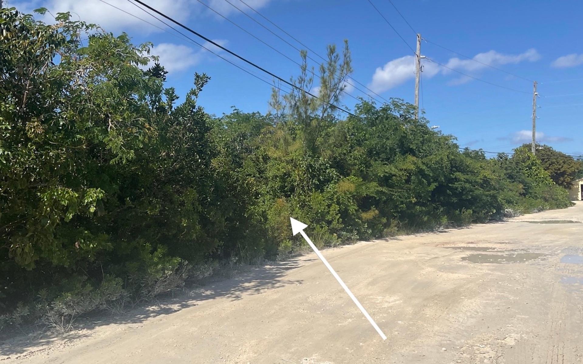 LOT 1, HAMILTON’S SUBD.