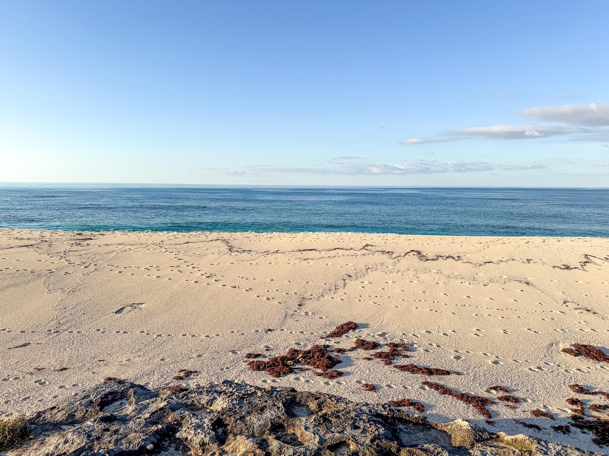 BLK 39, COLUMBUS LANDINGS