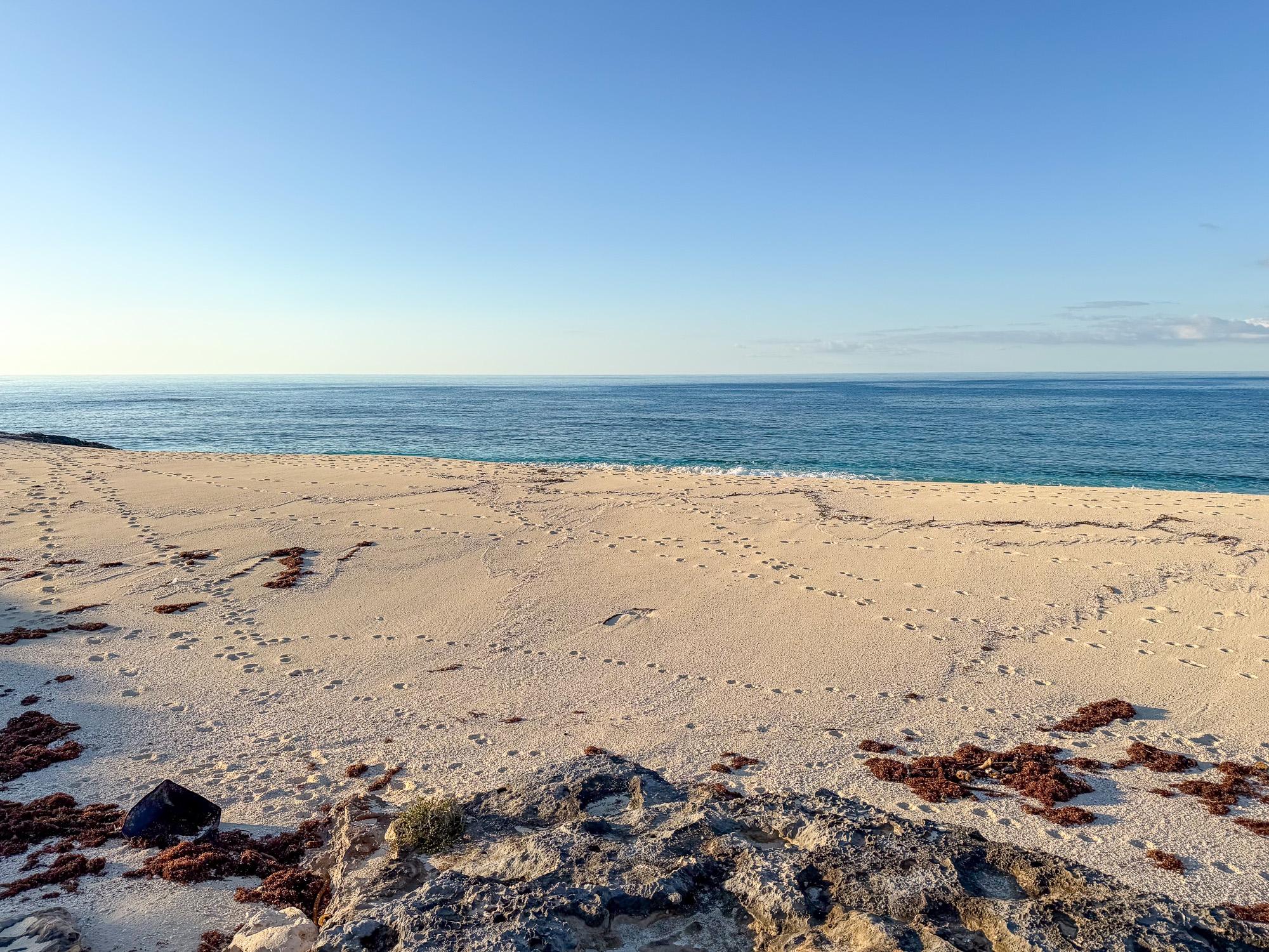 BLK 39, COLUMBUS LANDINGS