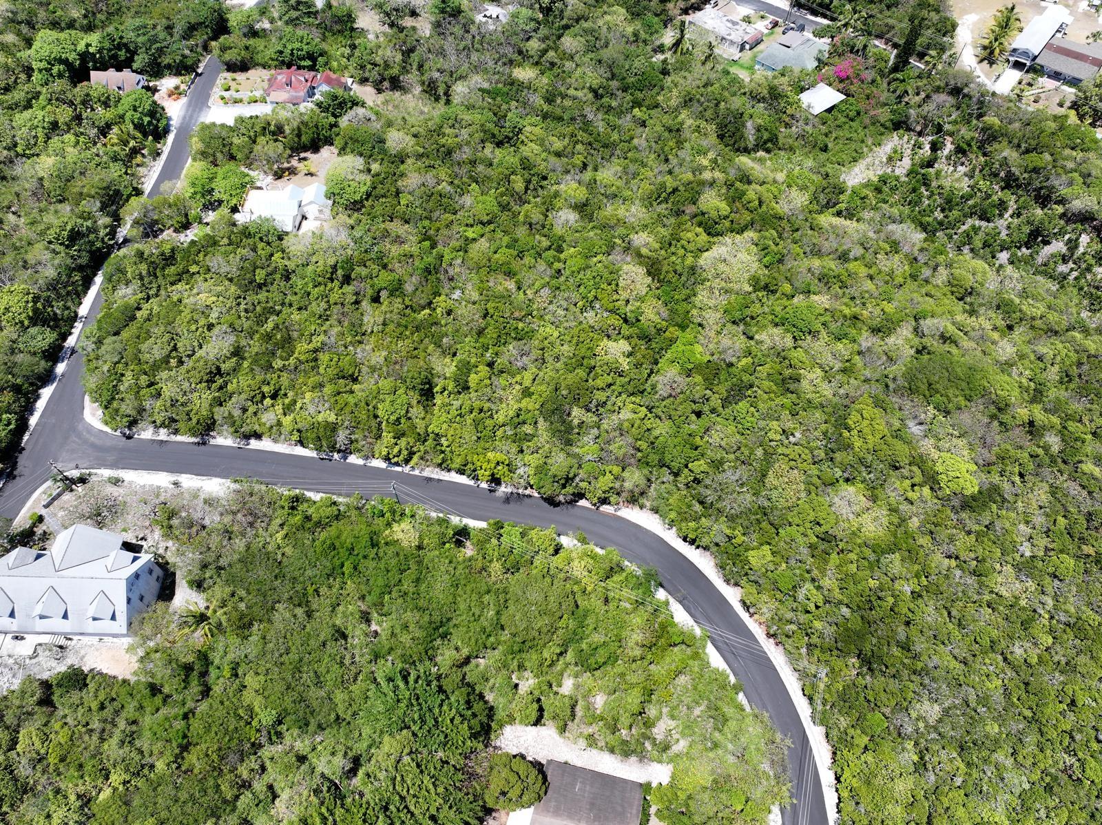 SOUTH PALMETTO POINT