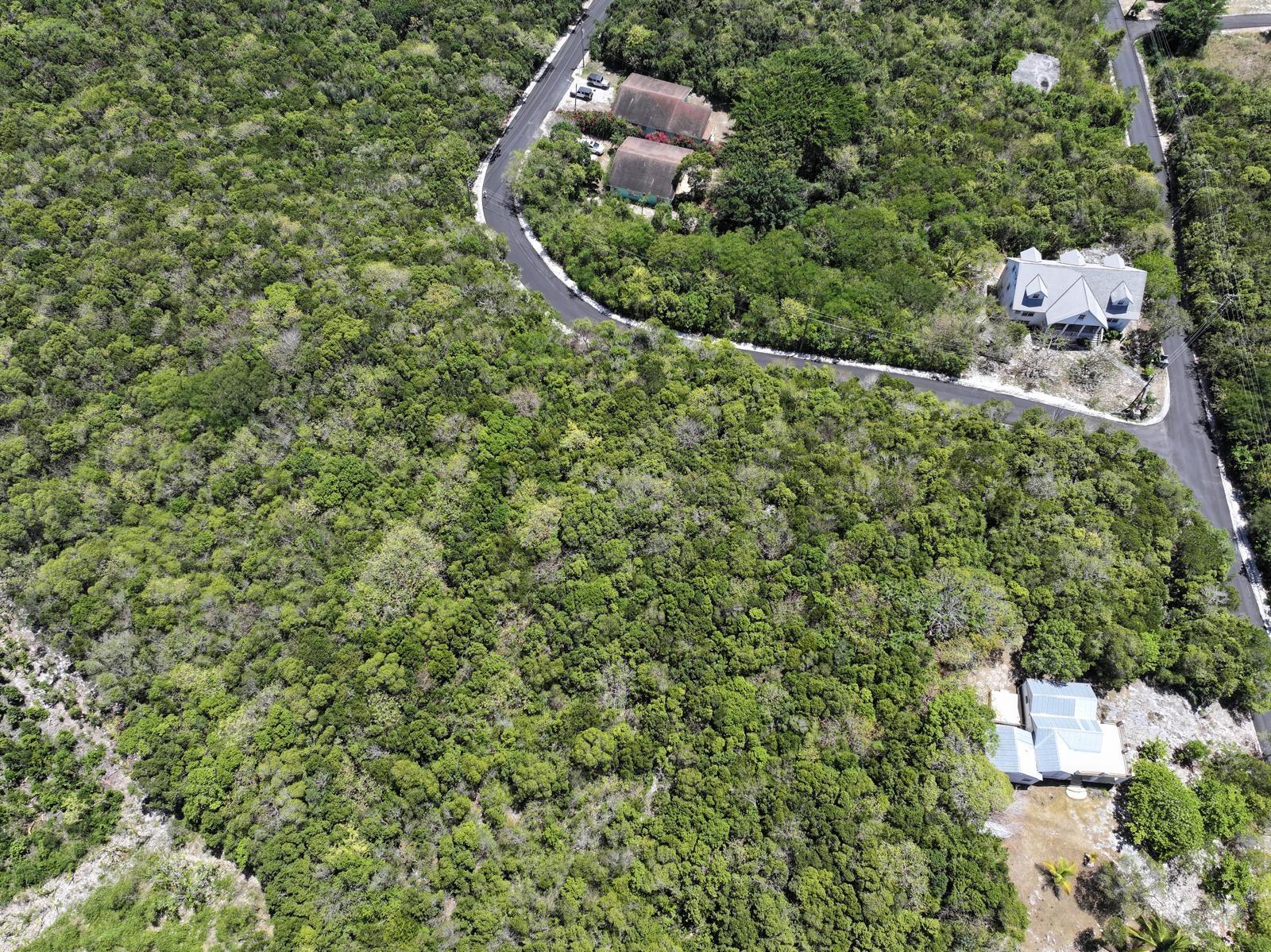 SOUTH PALMETTO POINT