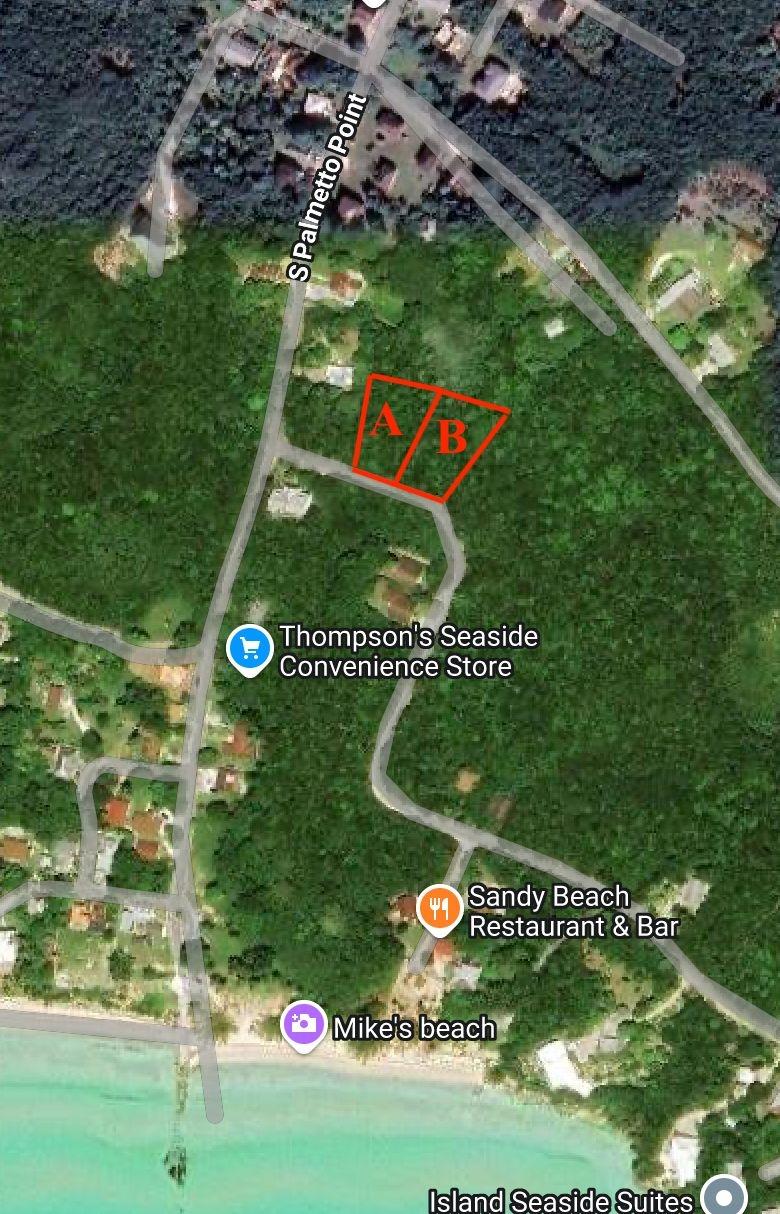 SOUTH PALMETTO POINT