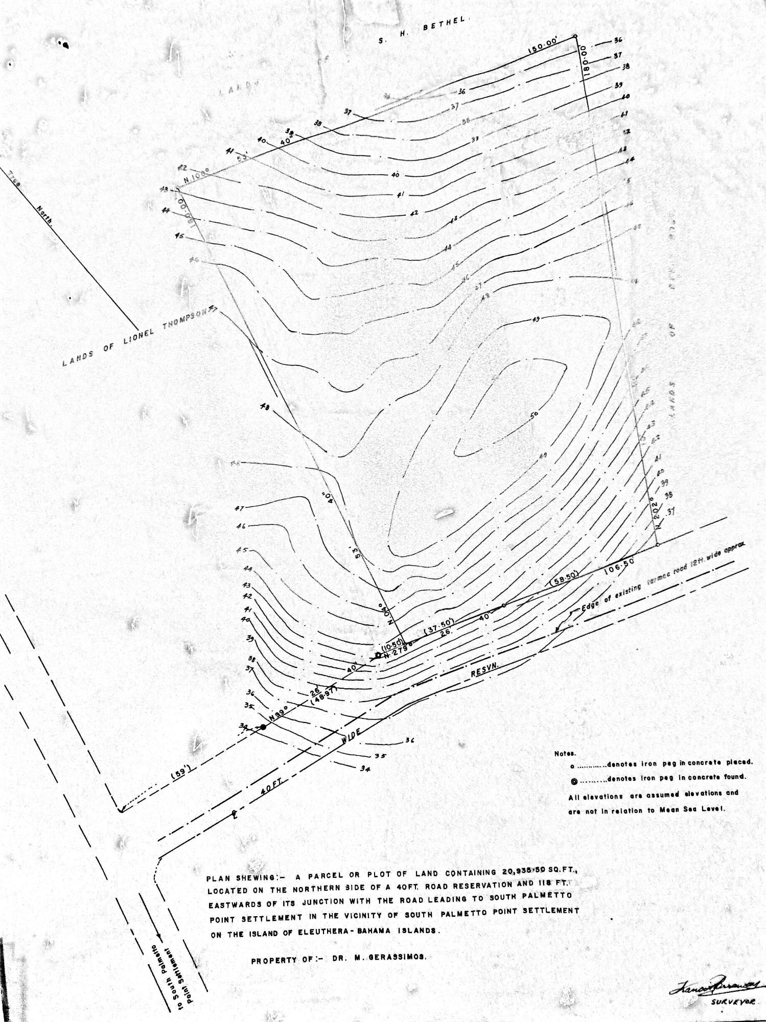 SOUTH PALMETTO POINT