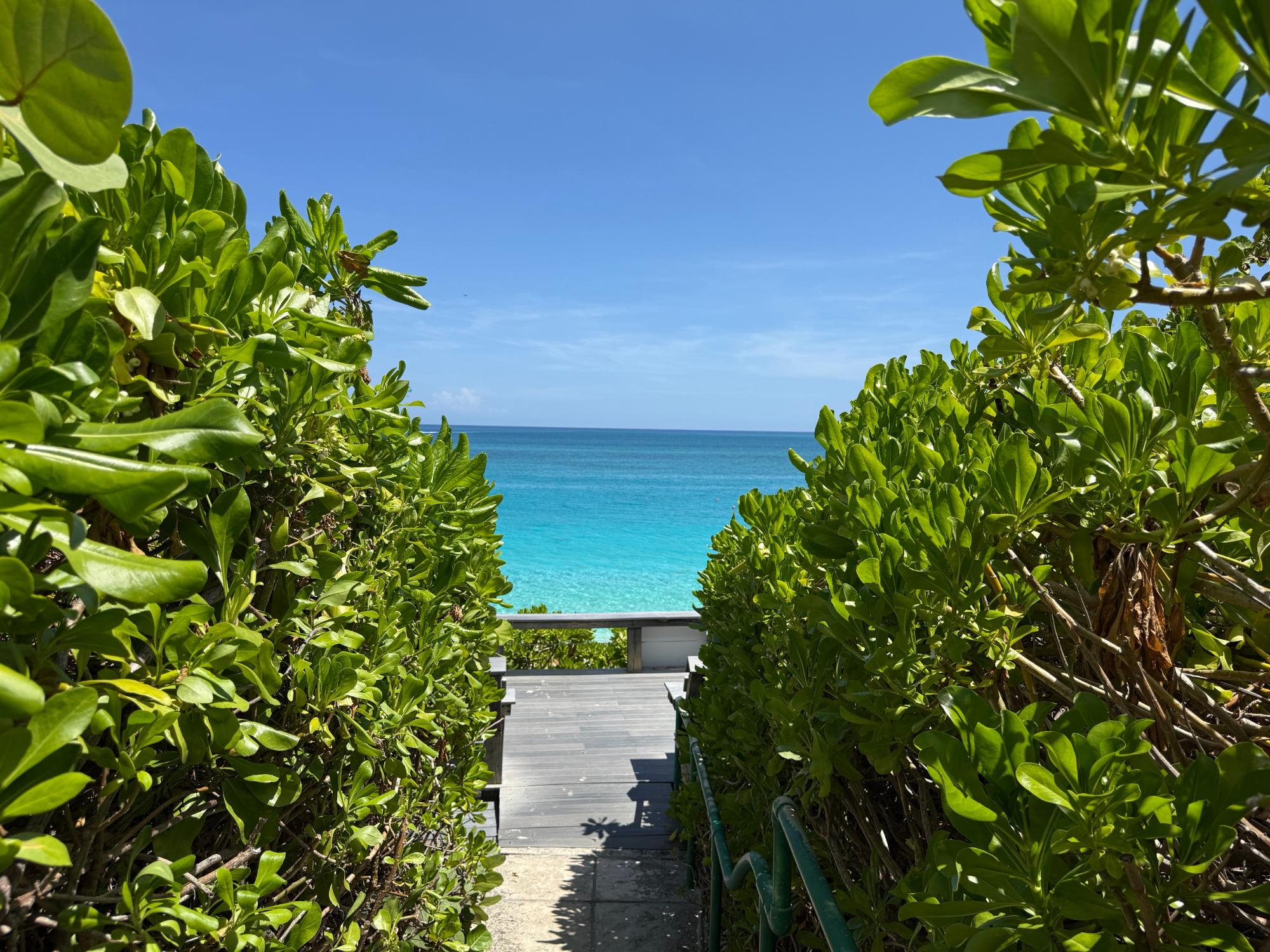 12 MIRAMAR PI RENTAL