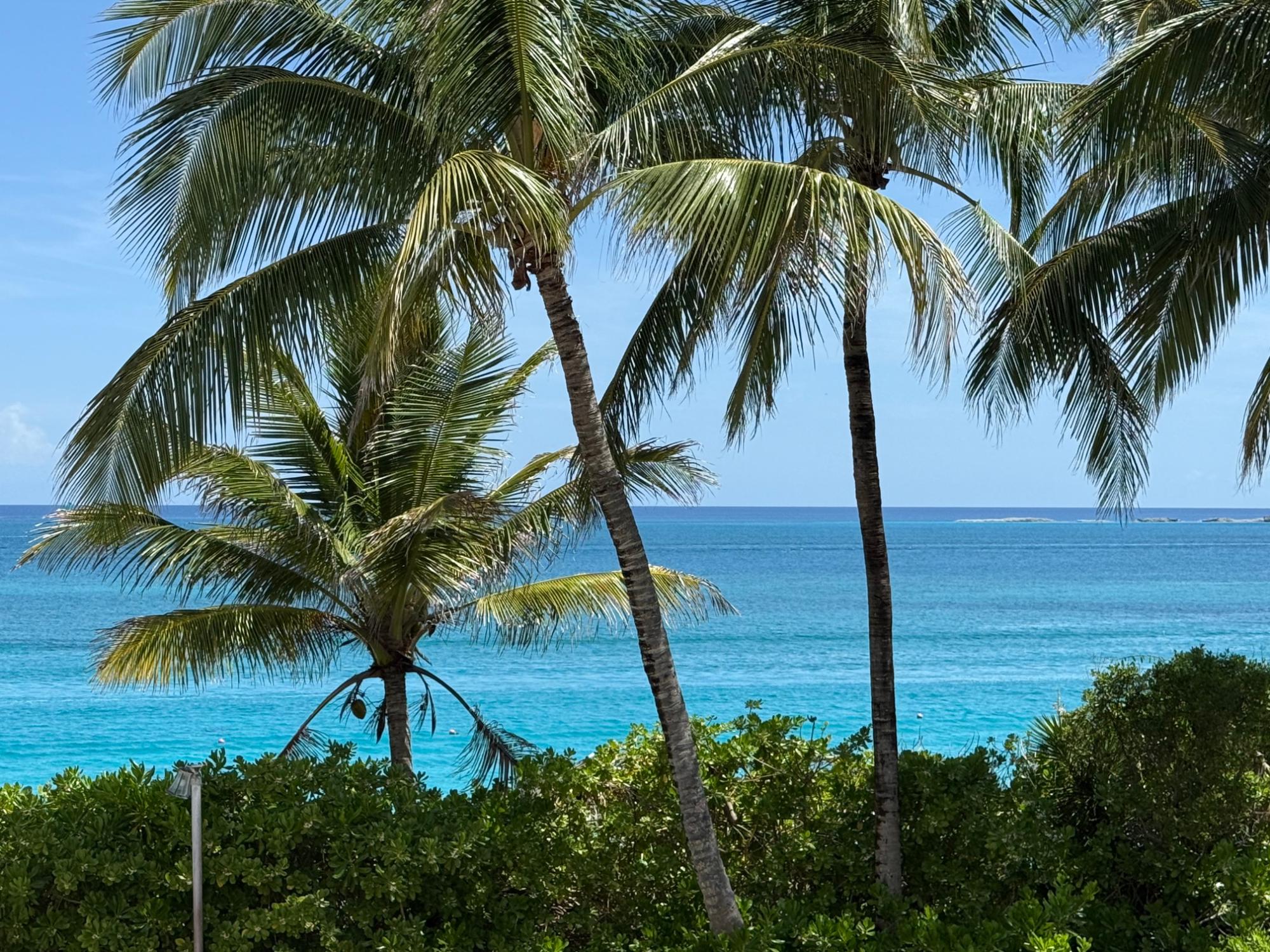 12 MIRAMAR PI RENTAL