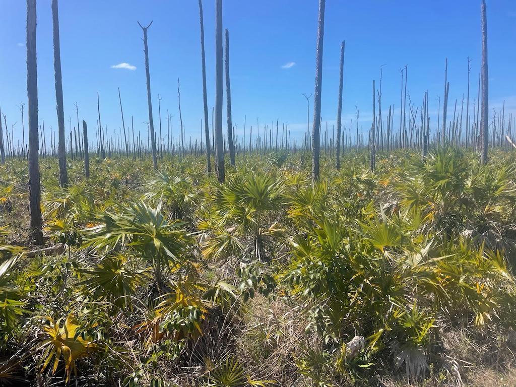 LOT 25, LUCAYA ESTATES