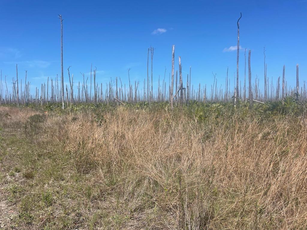 LOT 25, LUCAYA ESTATES