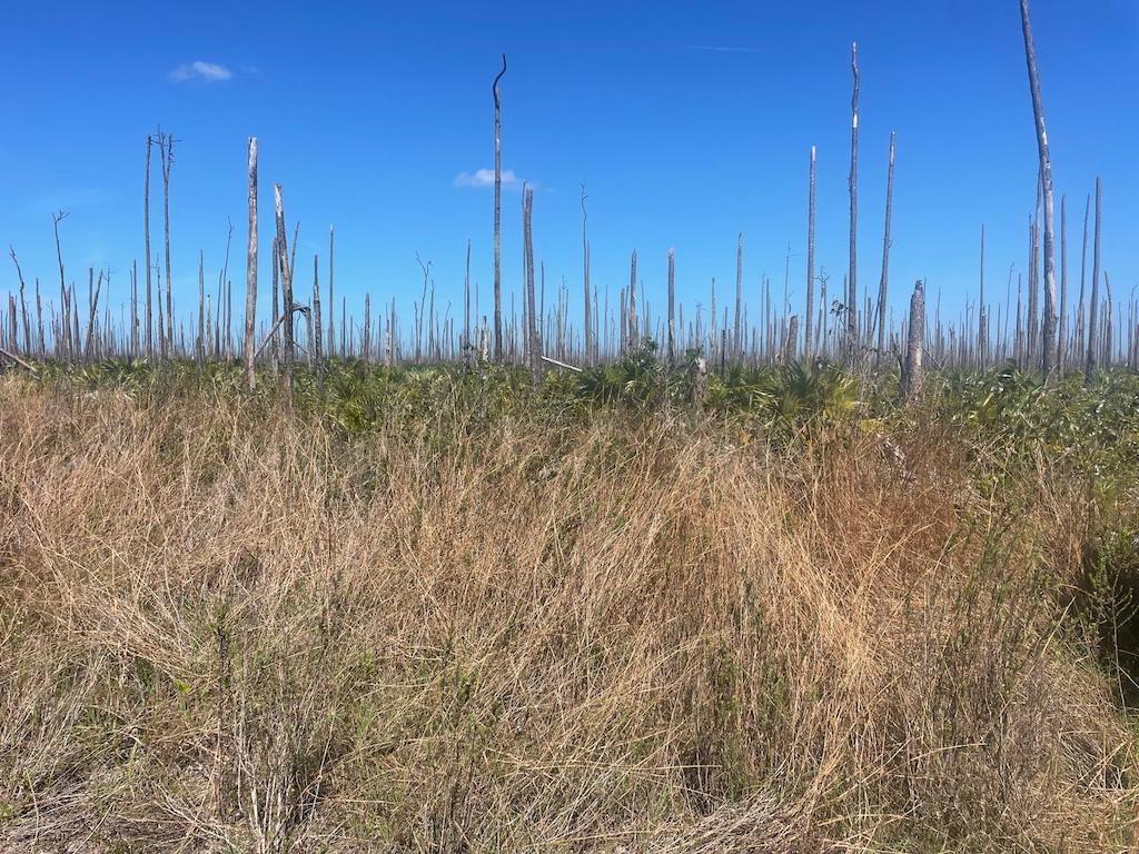 LOT 25, LUCAYA ESTATES