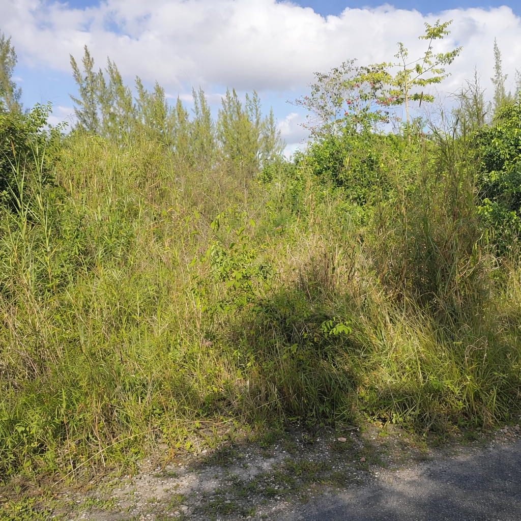 Vacant Lot