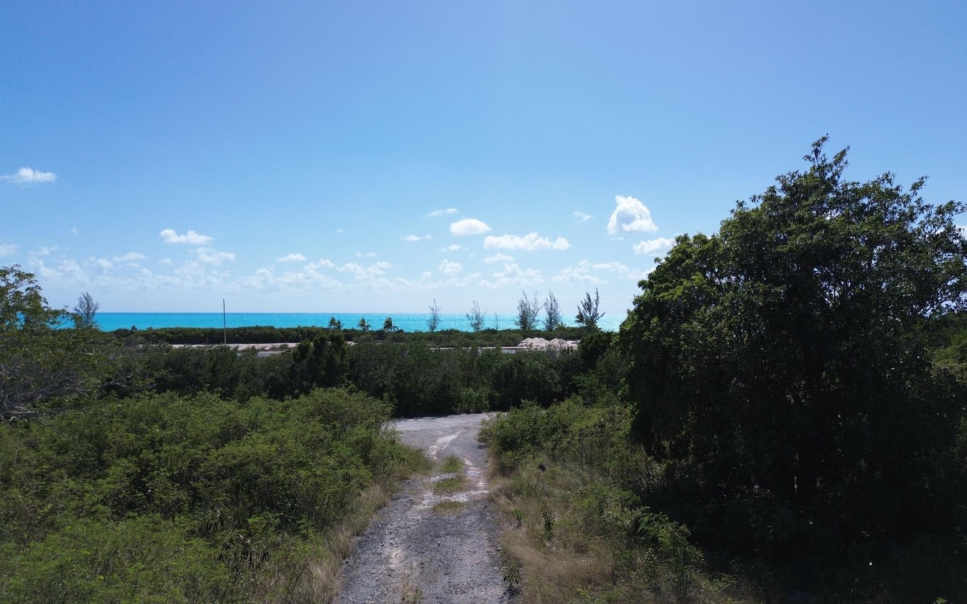 3 ACRES, TURNBULL HILLTOP