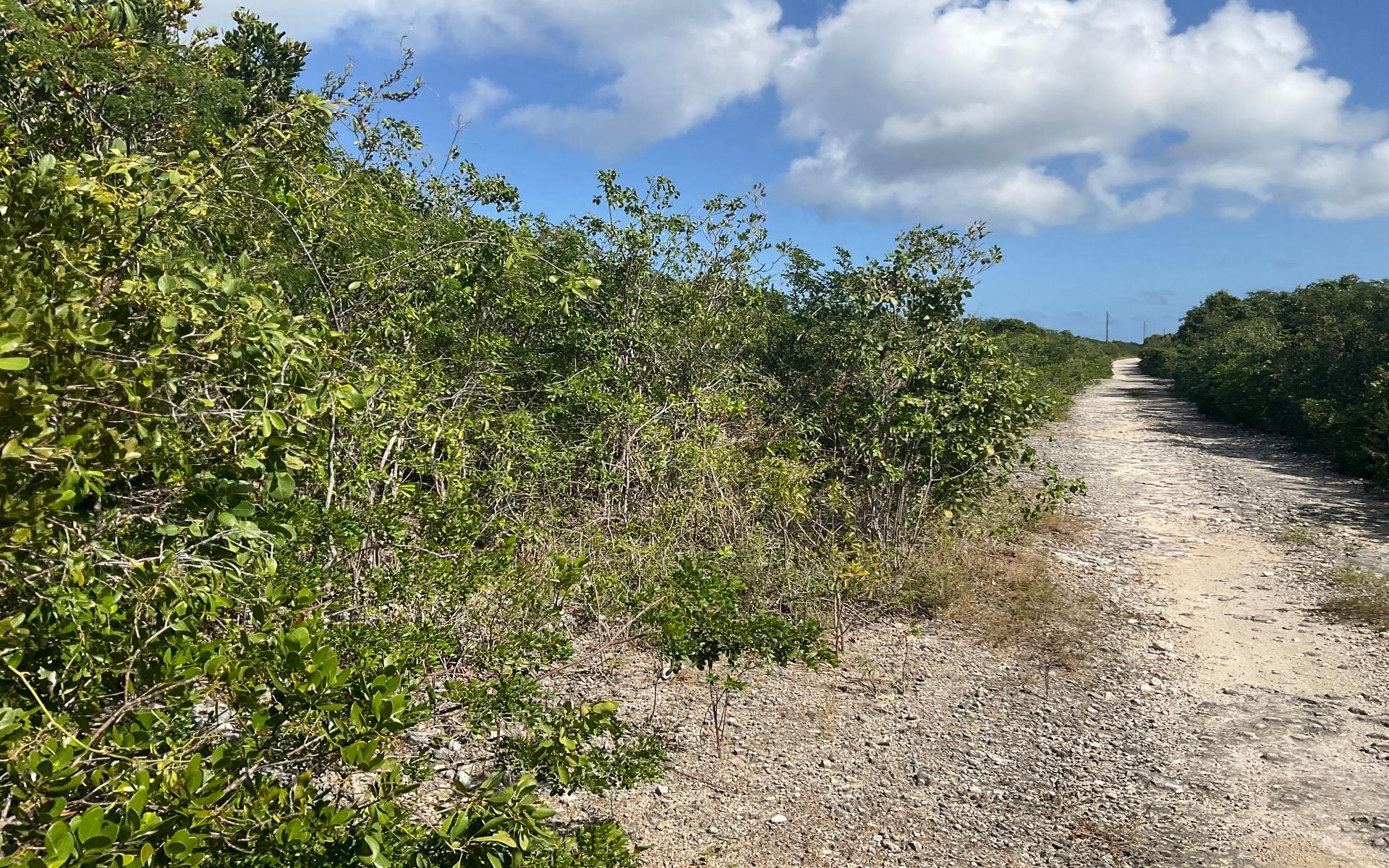 3 ACRES, TURNBULL HILLTOP